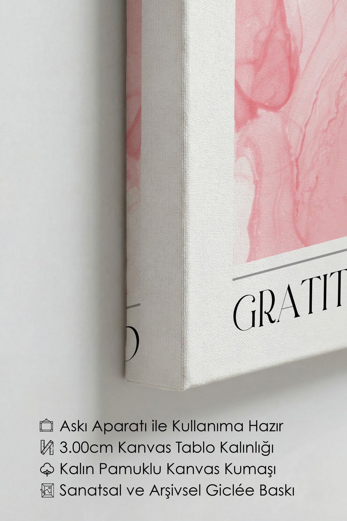 Farklı Tonlarda GRATITUDE Aura Kanvas Tablo — NO:106355