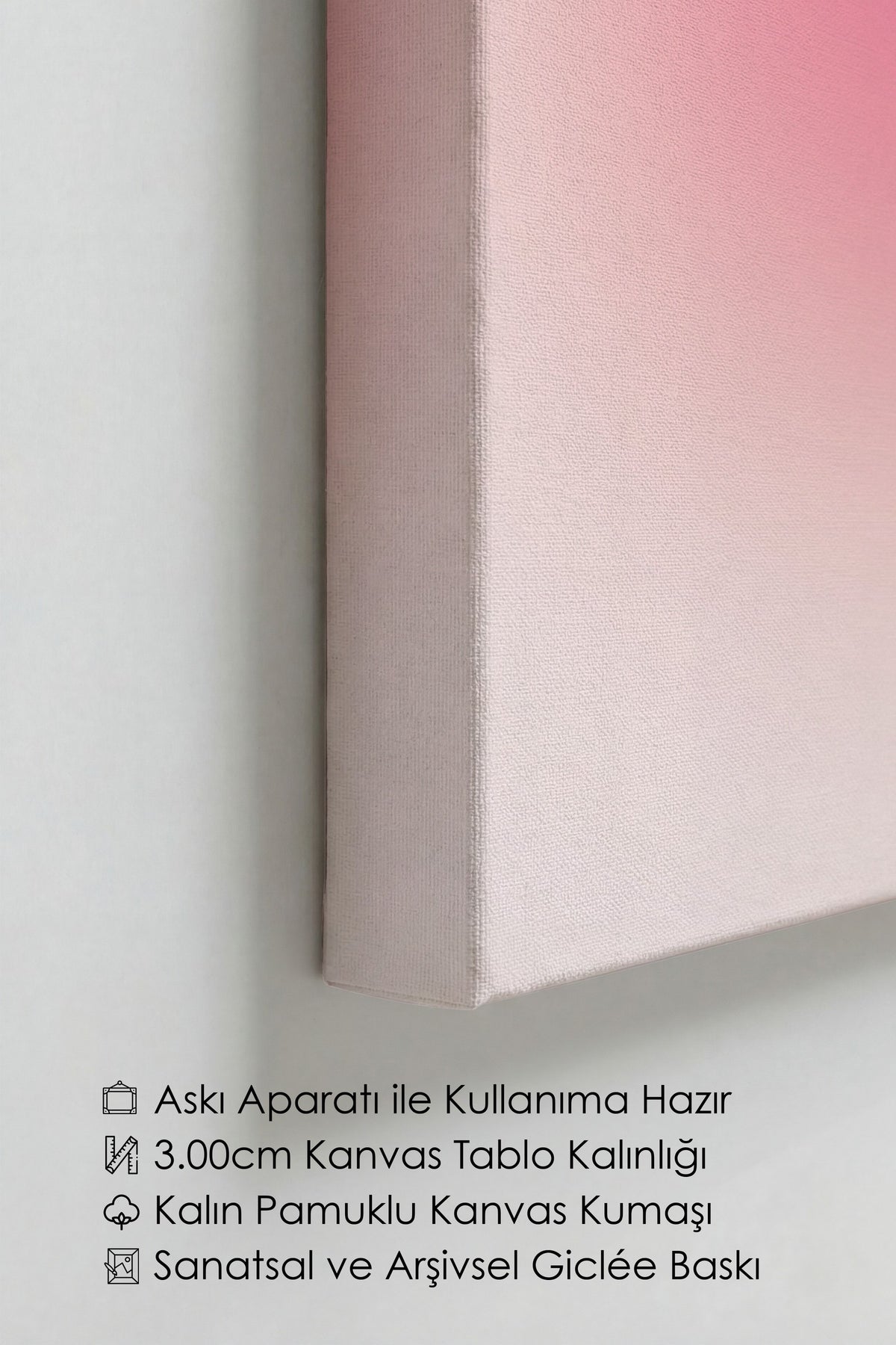 Pembe Aura Kanvas Tablo