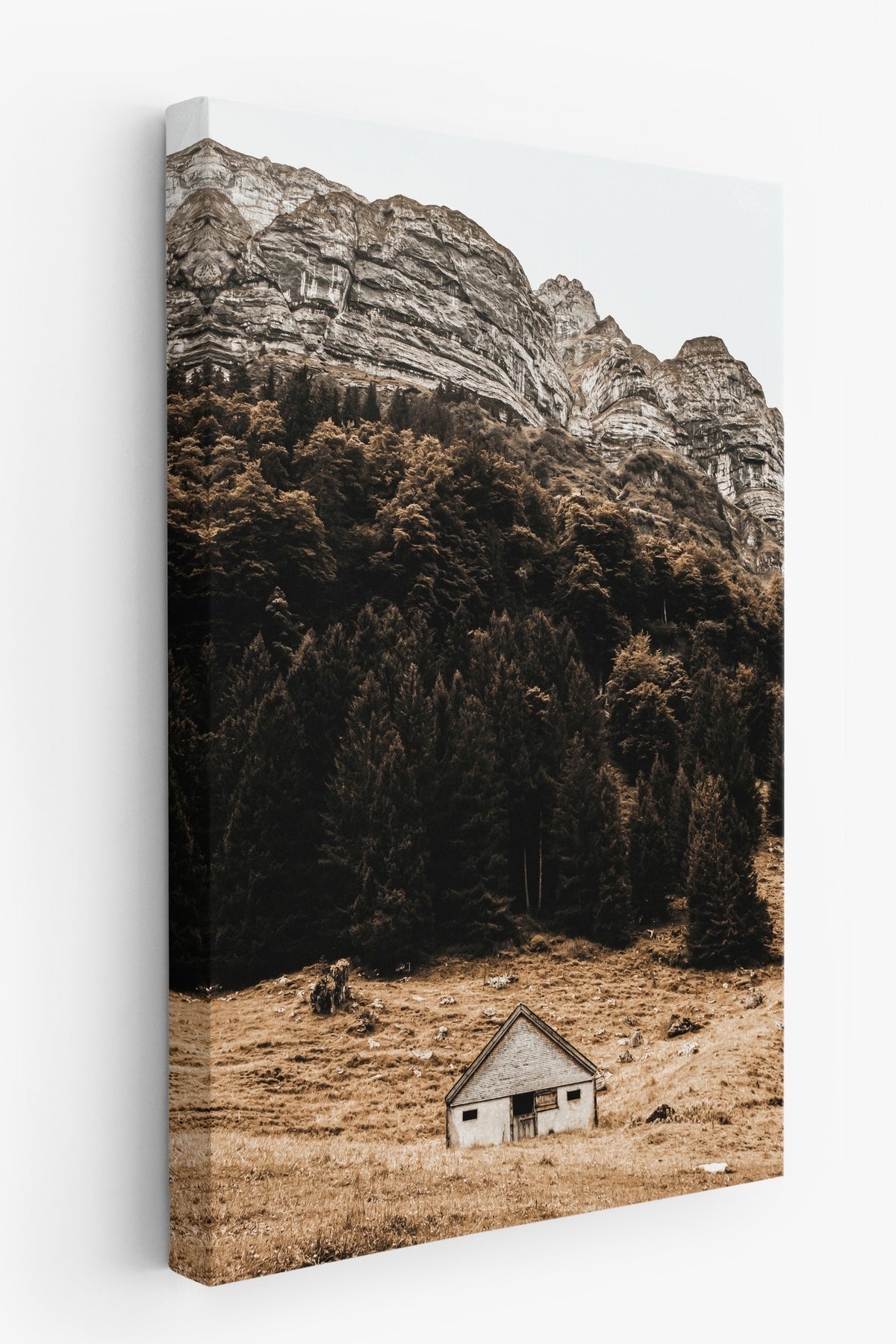 Dağ Eteğinde Yalnız Kulübe Rustic Kanvas Tablo