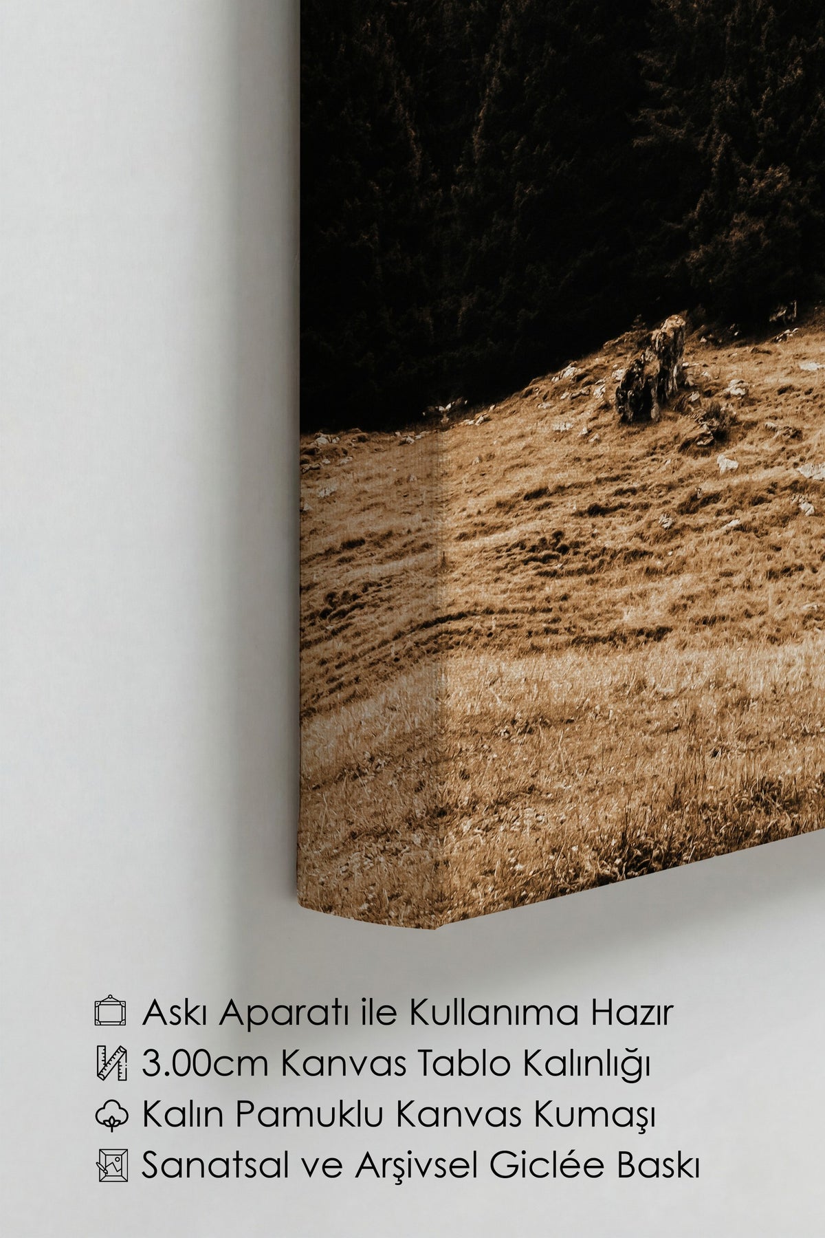 Dağ Eteğinde Yalnız Kulübe Rustic Kanvas Tablo