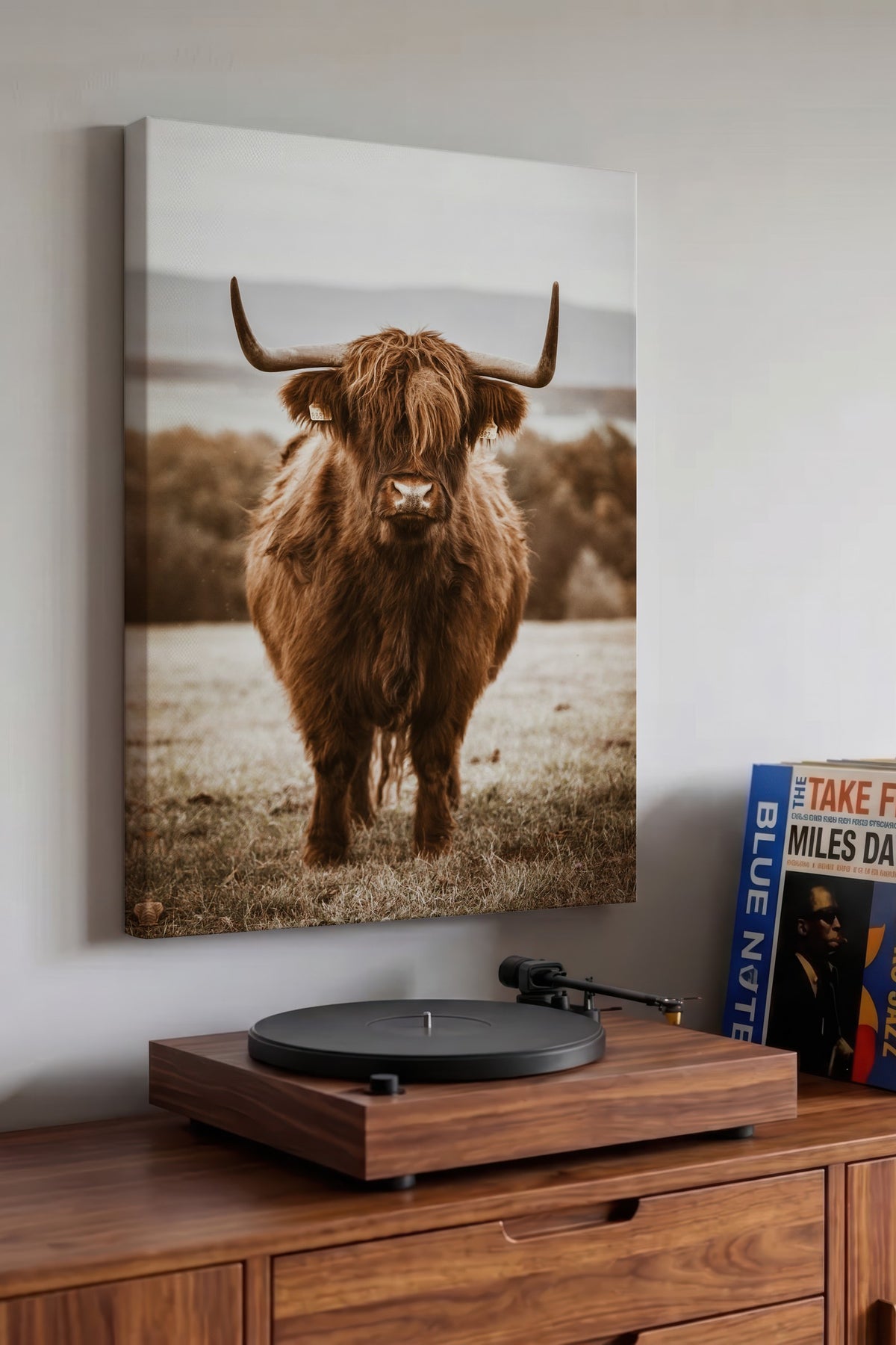 Highland İnek Portresi Rustic Kanvas Tablo