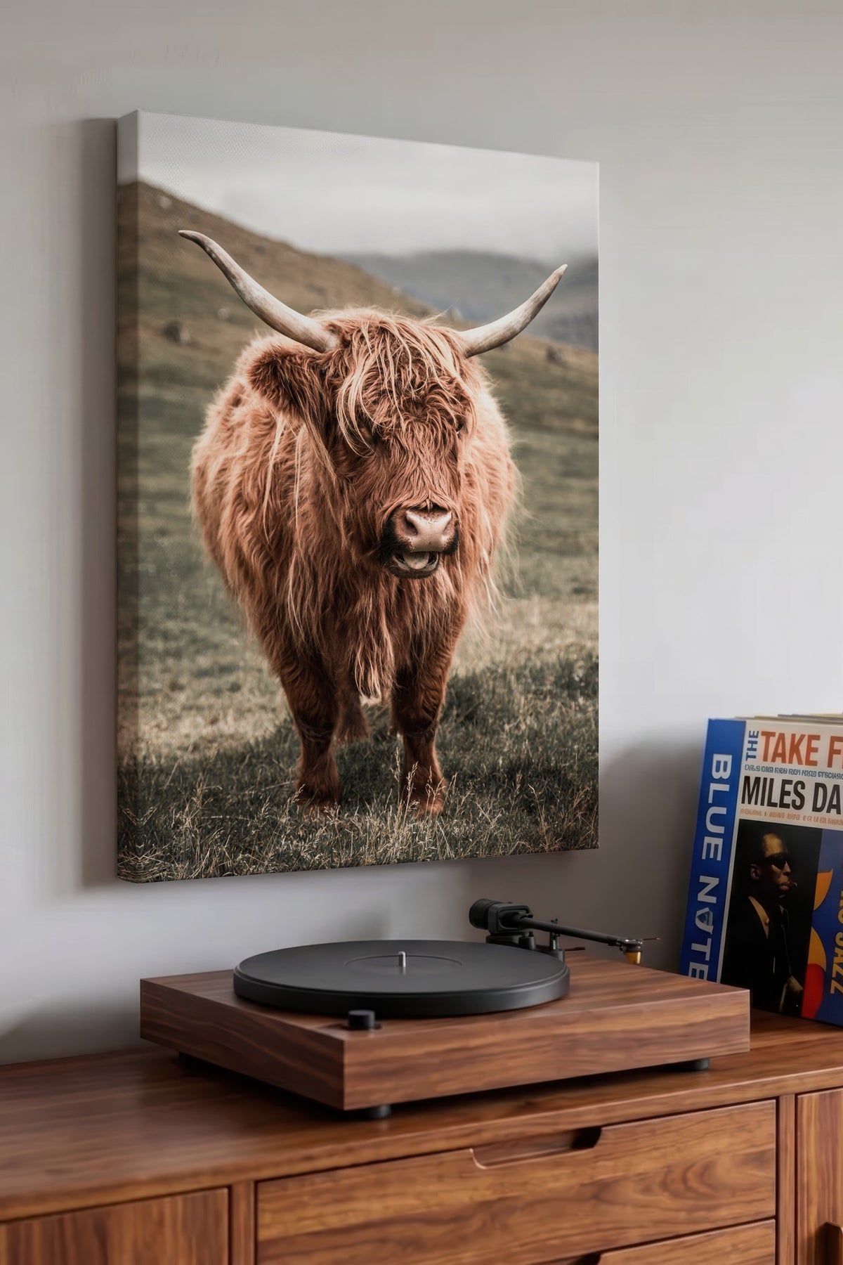 Vahşi Highland İneği Rustic Kanvas Tablo