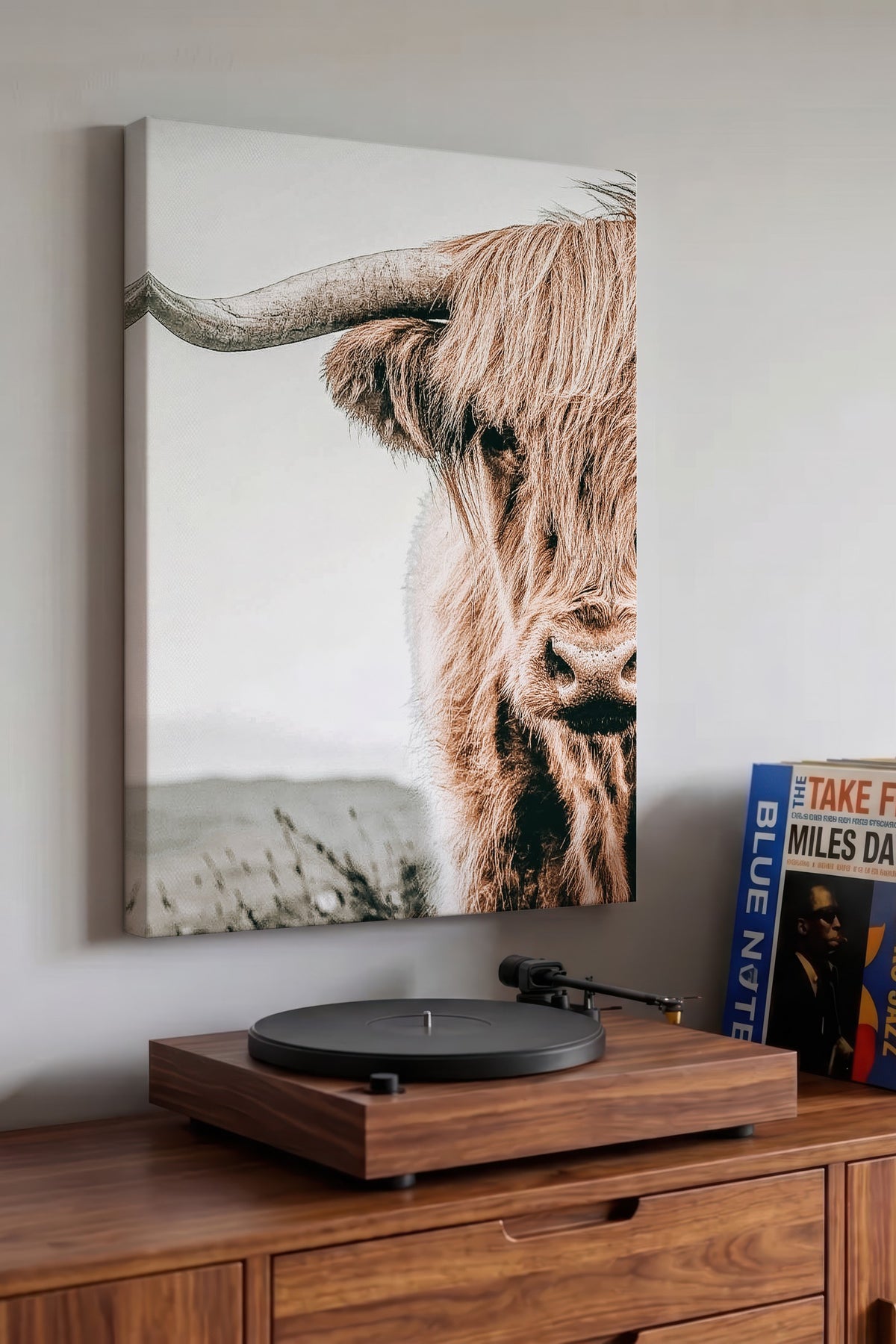 Highland İneği Portresi Rustic Kanvas Tablo