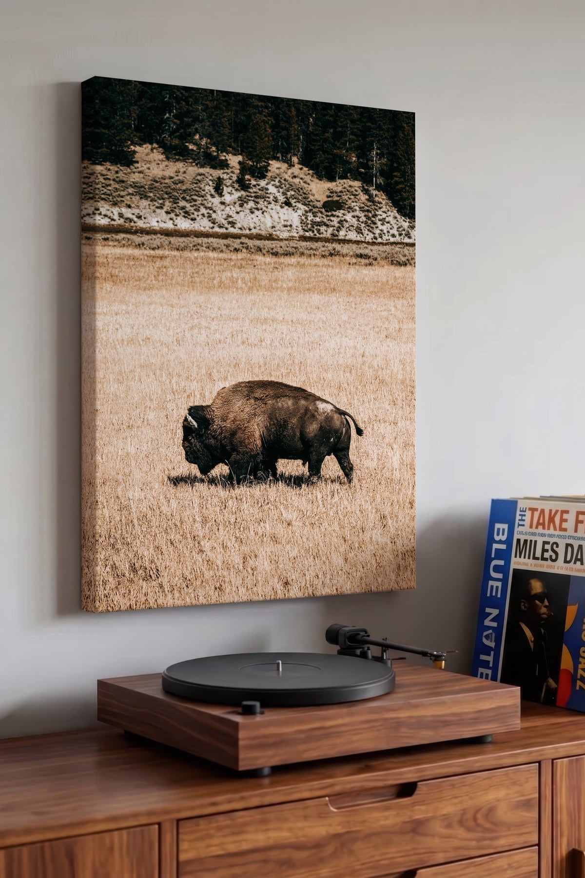 Bizon ve Sonbahar Ovası Rustic Kanvas Tablo