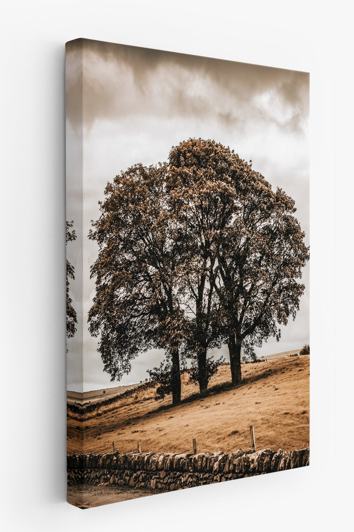 Rustic Kanvas Tablo — NO:106891