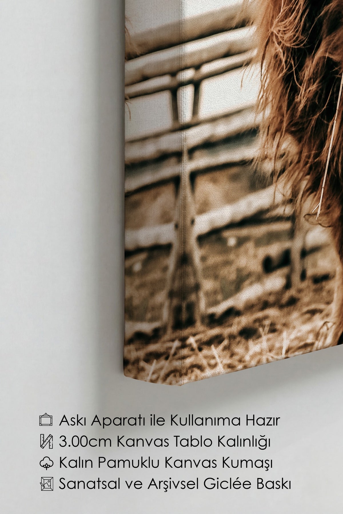 Kır Çiçeği ve Boğa Rustic Kanvas Tablo