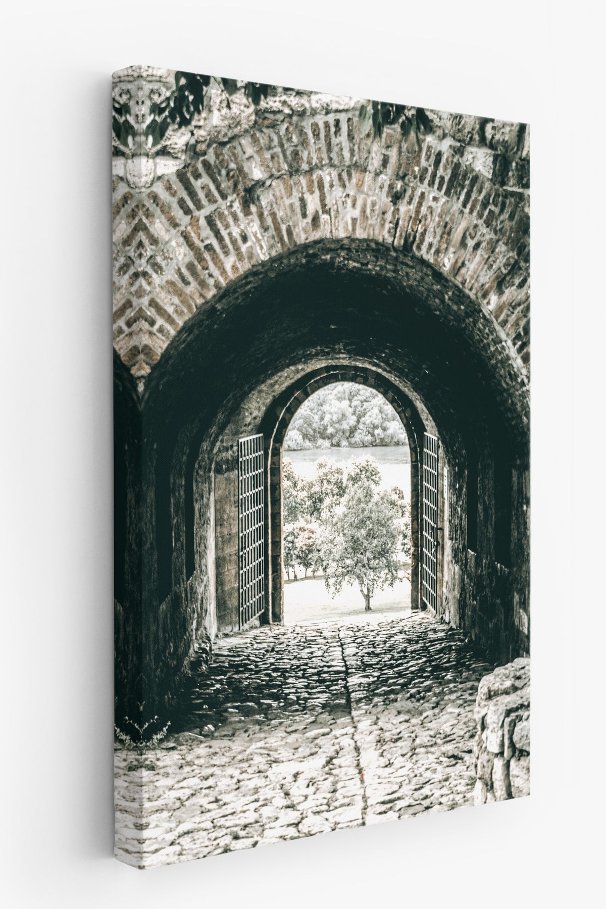 Taş Tünel ve Açık Kapı Rustic Kanvas Tablo