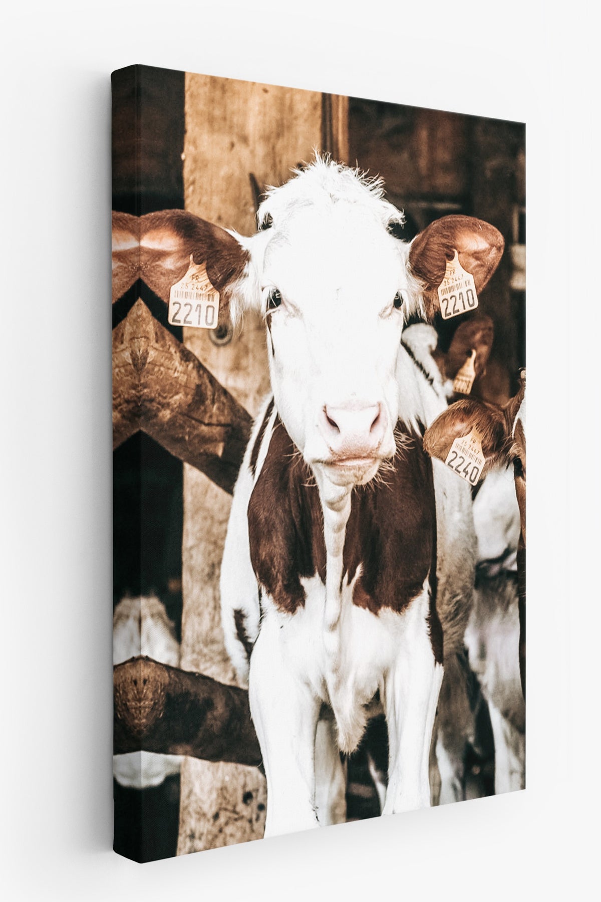 Ahırdaki İnek Rustic Kanvas Tablo