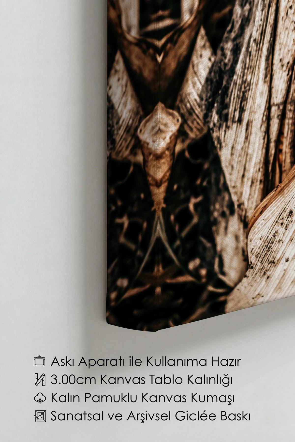 Doğal Mısır Detayı Rustic Kanvas Tablo