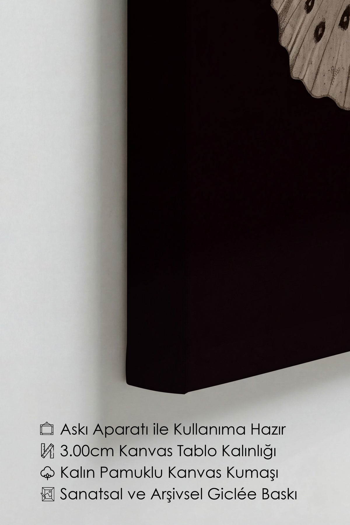 Kelebek Çizimi Kanvas Tablo