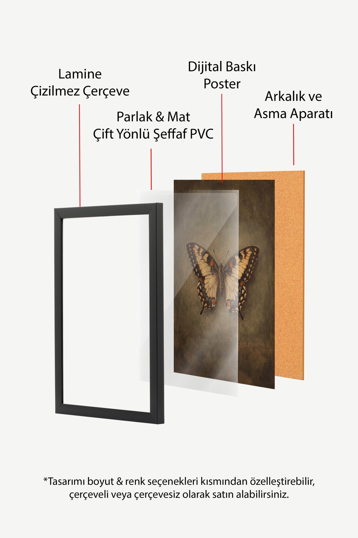 Kelebek Tasviri Poster – Siyah Çerçeveli Tablo