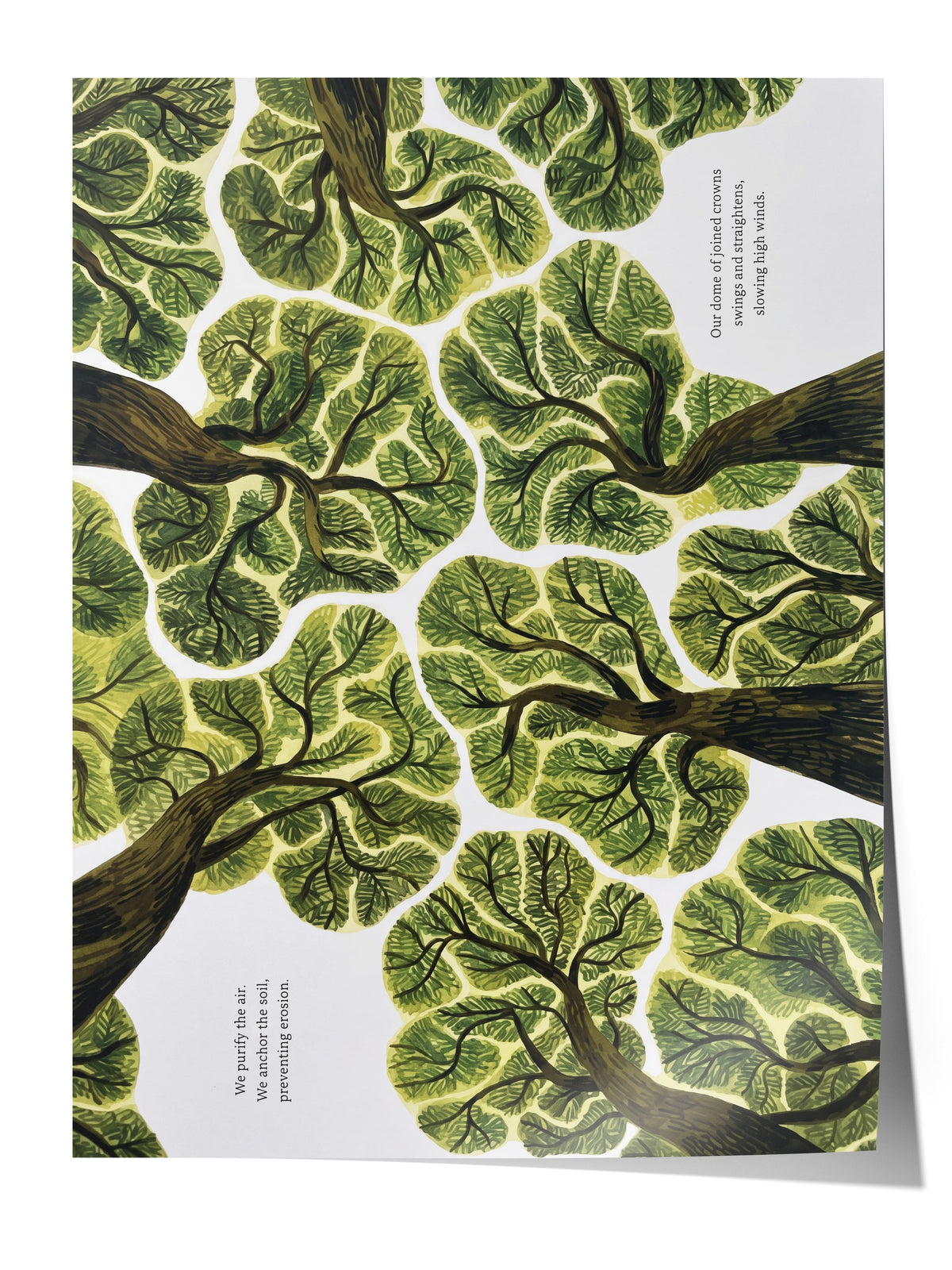 We purify the air. We anchor the soil, preventing erosion. Çerçevesiz Poster