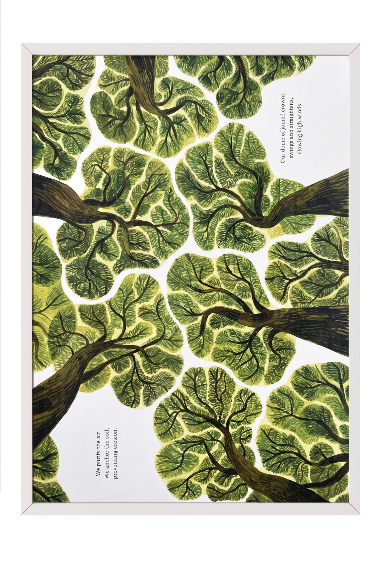 We purify the air. We anchor the soil, preventing erosion. Poster – Beyaz Çerçeveli Tablo