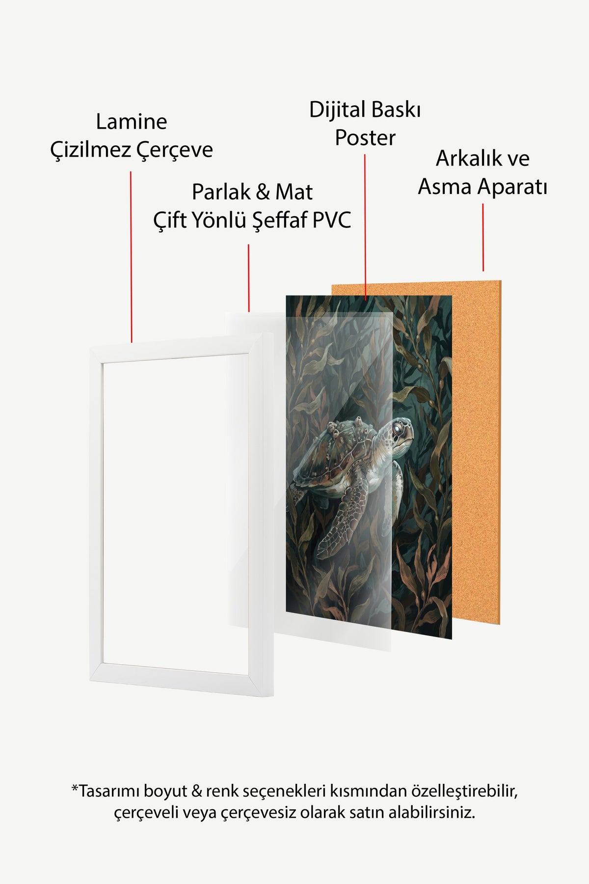 Denizaltındaki Kaplumbağa Poster – Beyaz Çerçeveli Tablo