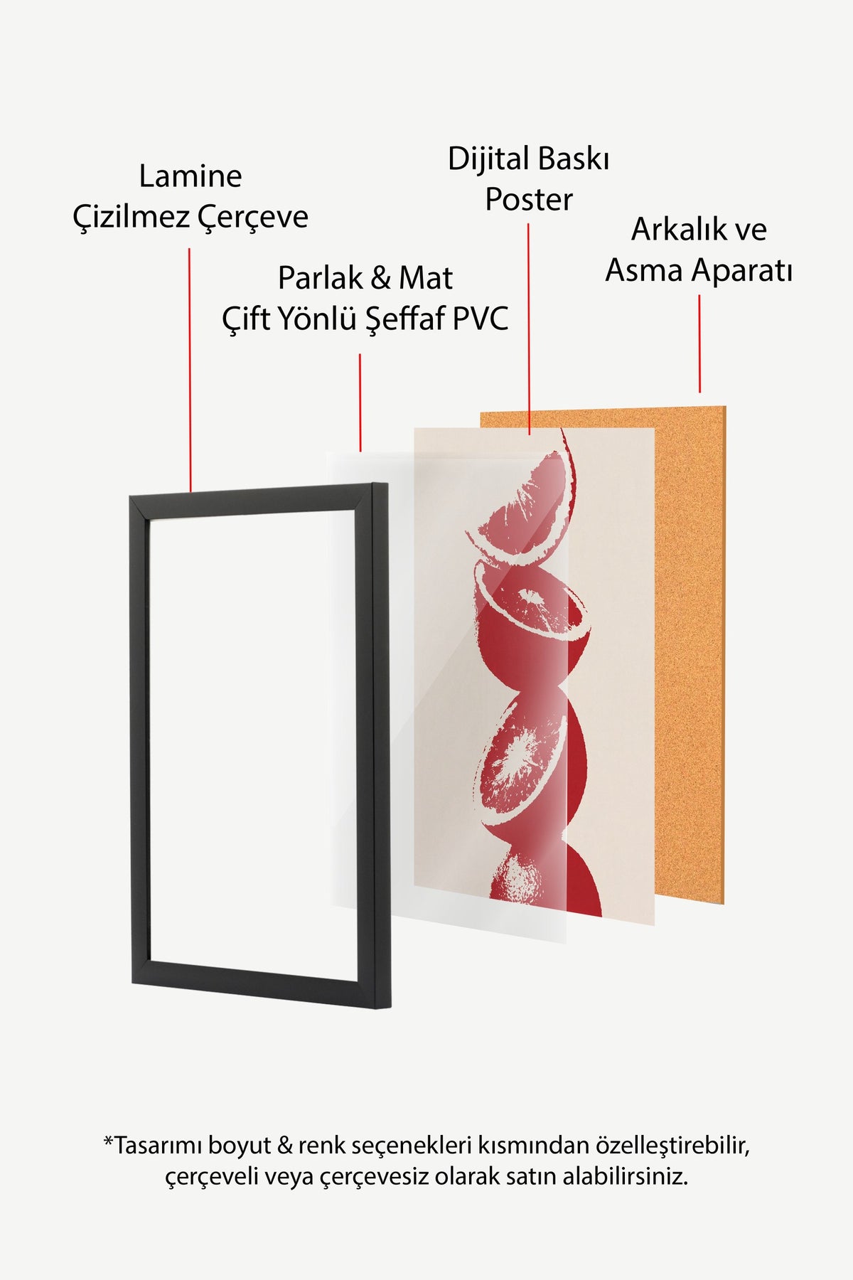 Kırmızı Turunçgiller Poster – Siyah Çerçeveli Tablo
