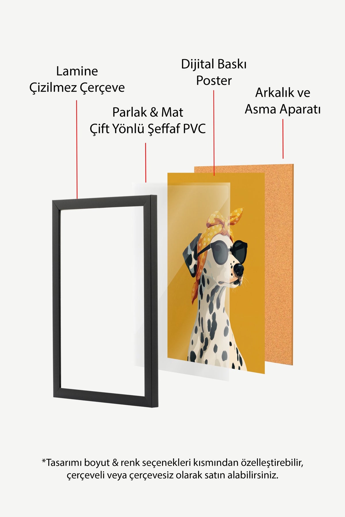 Dalmaçyalı Şıklığı Poster – Siyah Çerçeveli Tablo