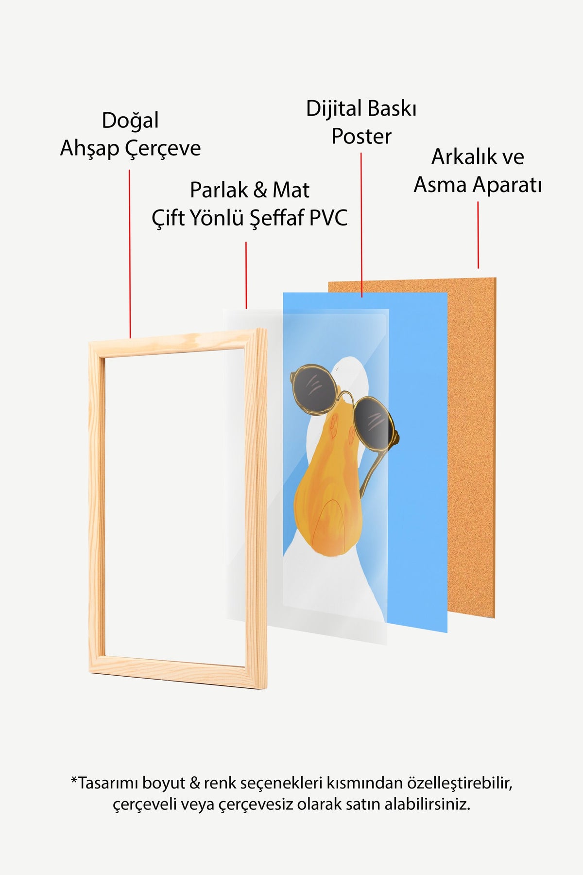 Gözlüklü Ördek Poster – Ahşap Çerçeveli Tablo