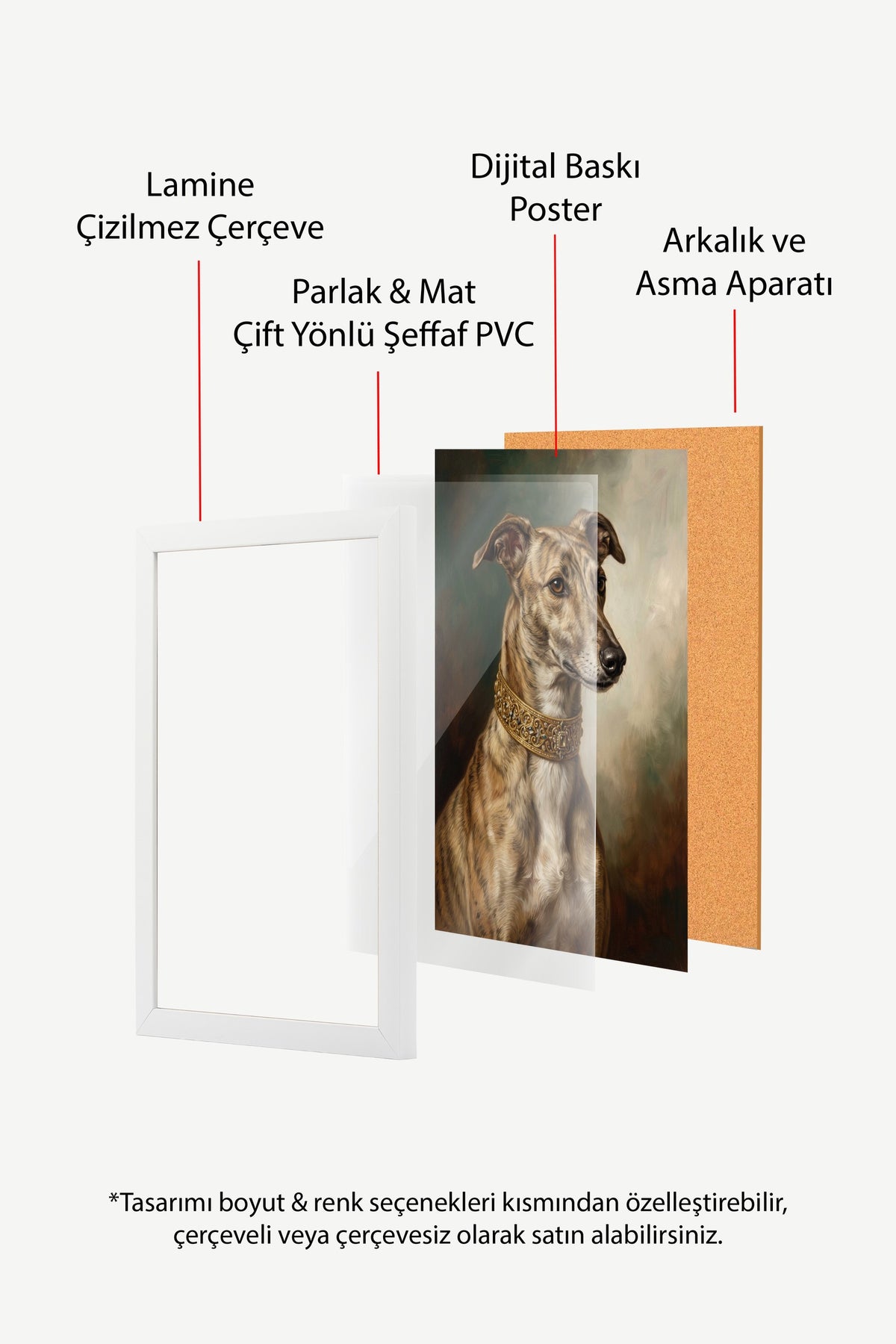 Zarif Köpek Portresi Poster – Beyaz Çerçeveli Tablo