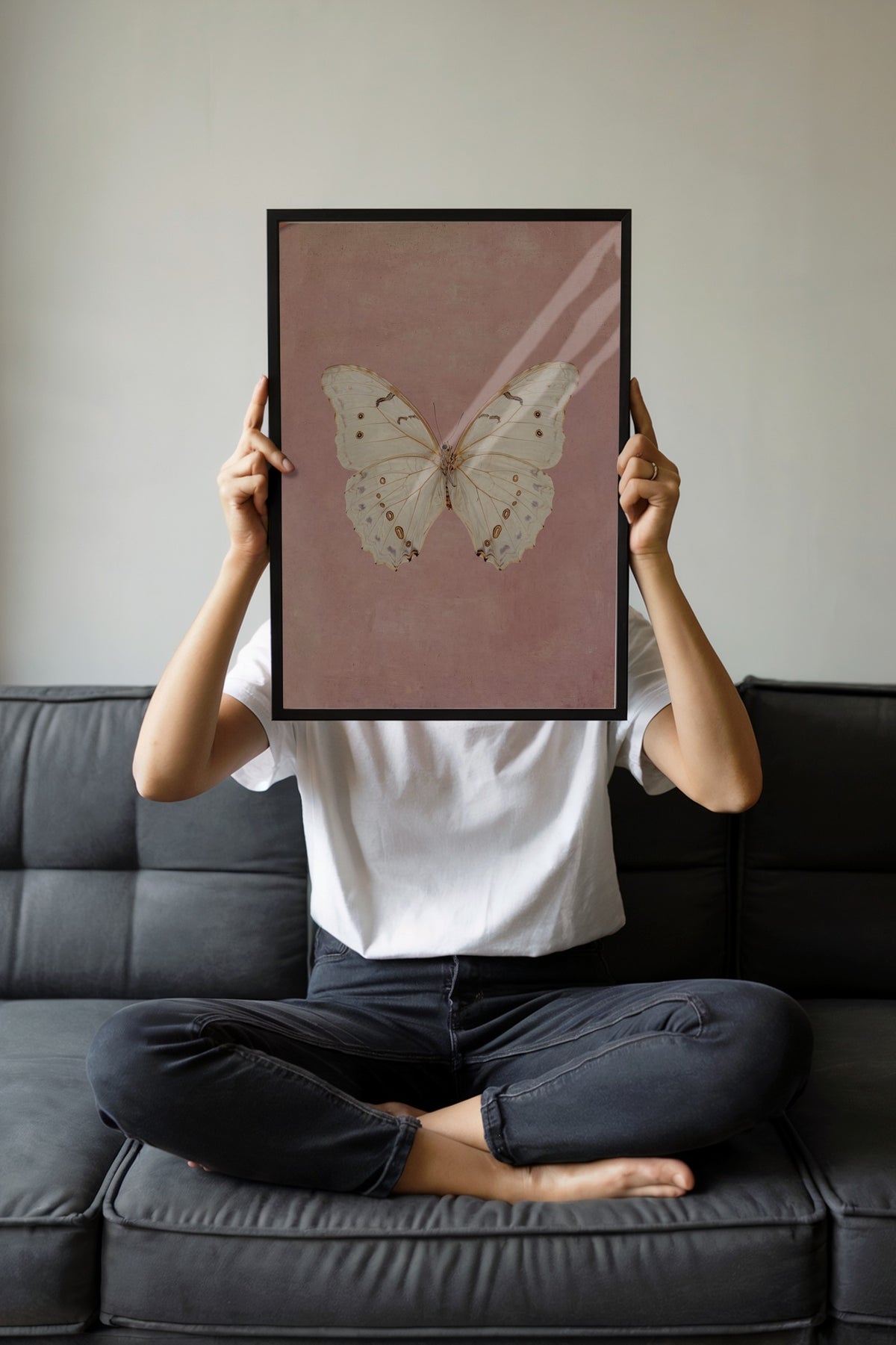 Pembe Zemin Üzerinde Kelebek Poster – Siyah Çerçeveli Tablo