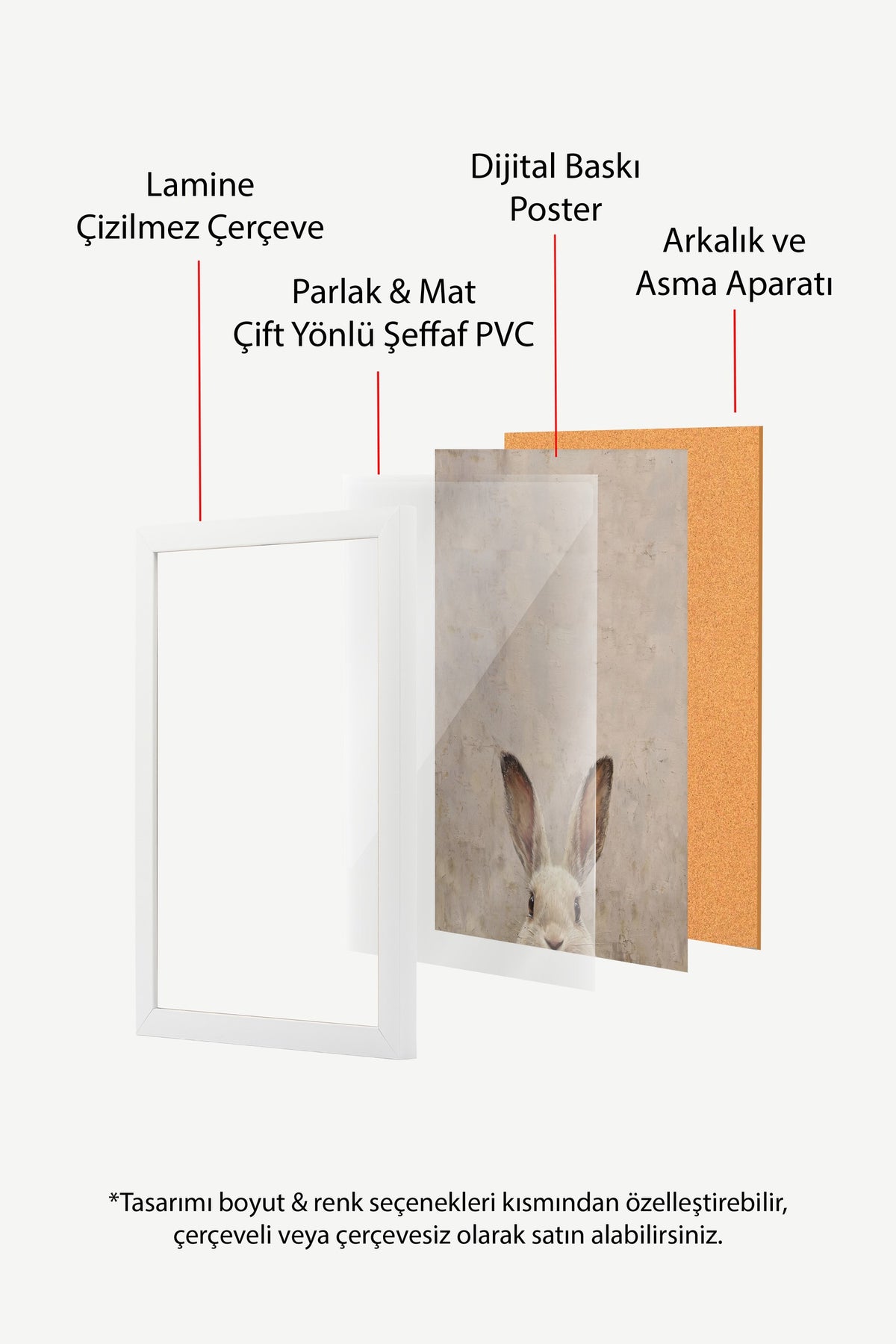 Meraklı Tavşan Poster – Beyaz Çerçeveli Tablo