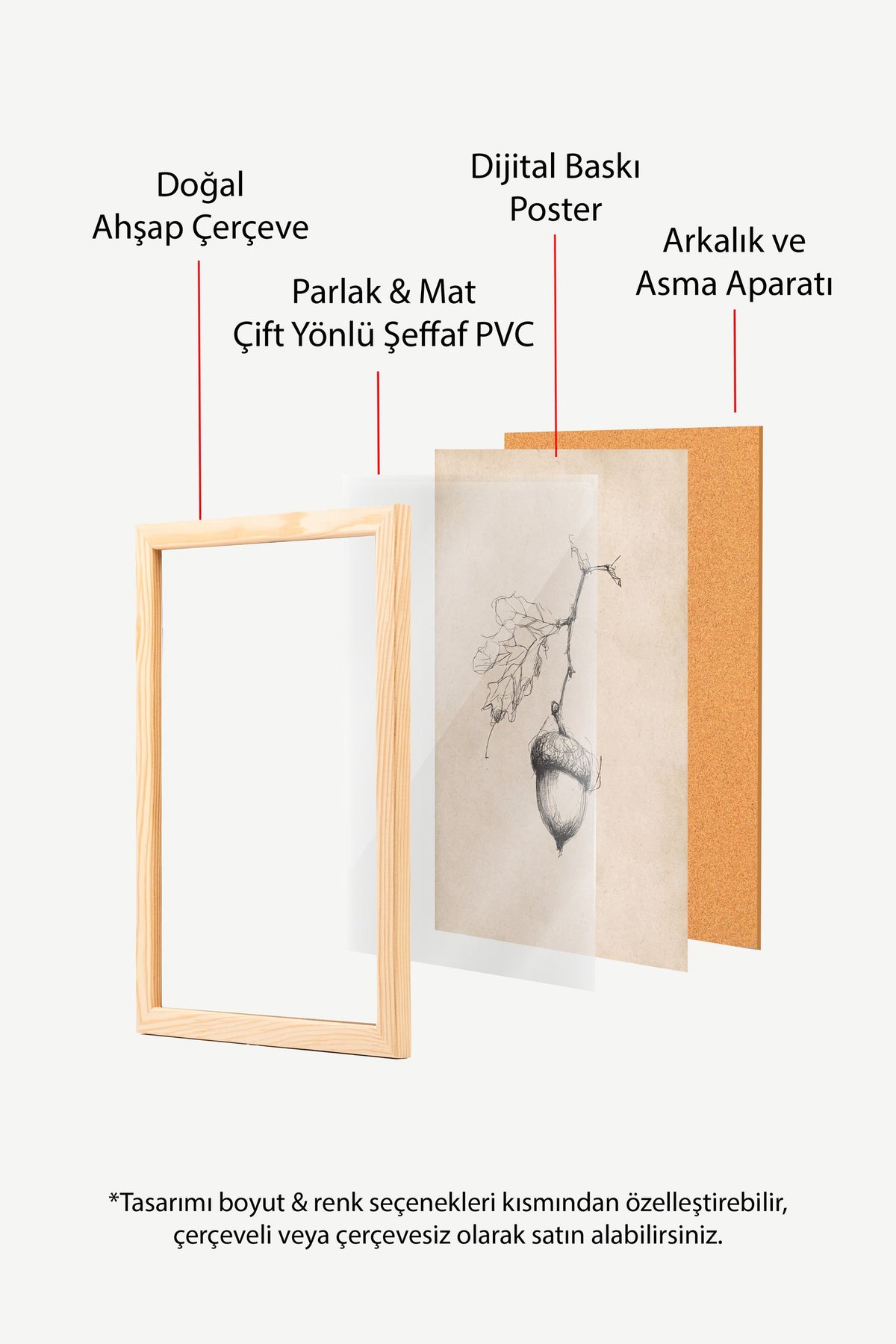 Karakalem Meşe Palamudu Poster – Ahşap Çerçeveli Tablo