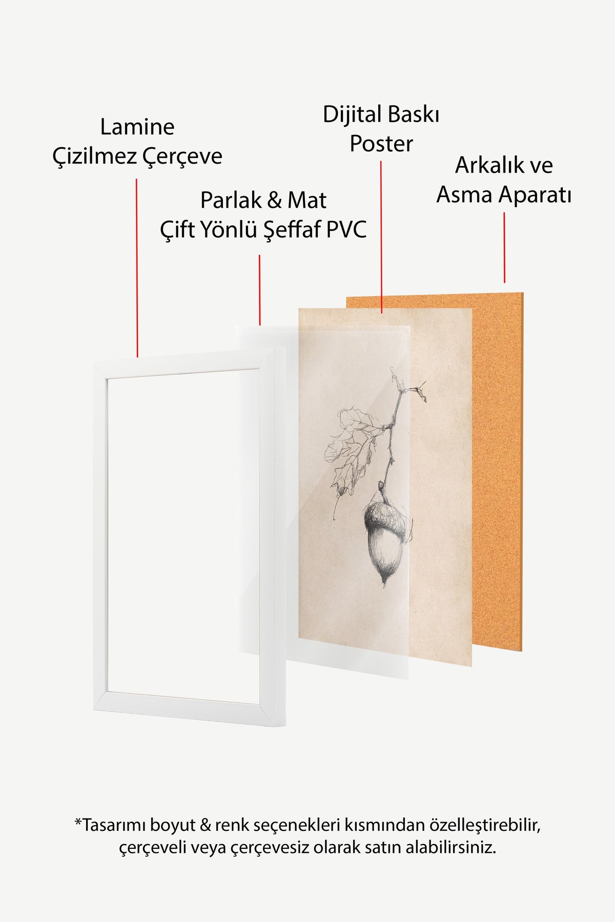Karakalem Meşe Palamudu Poster – Beyaz Çerçeveli Tablo