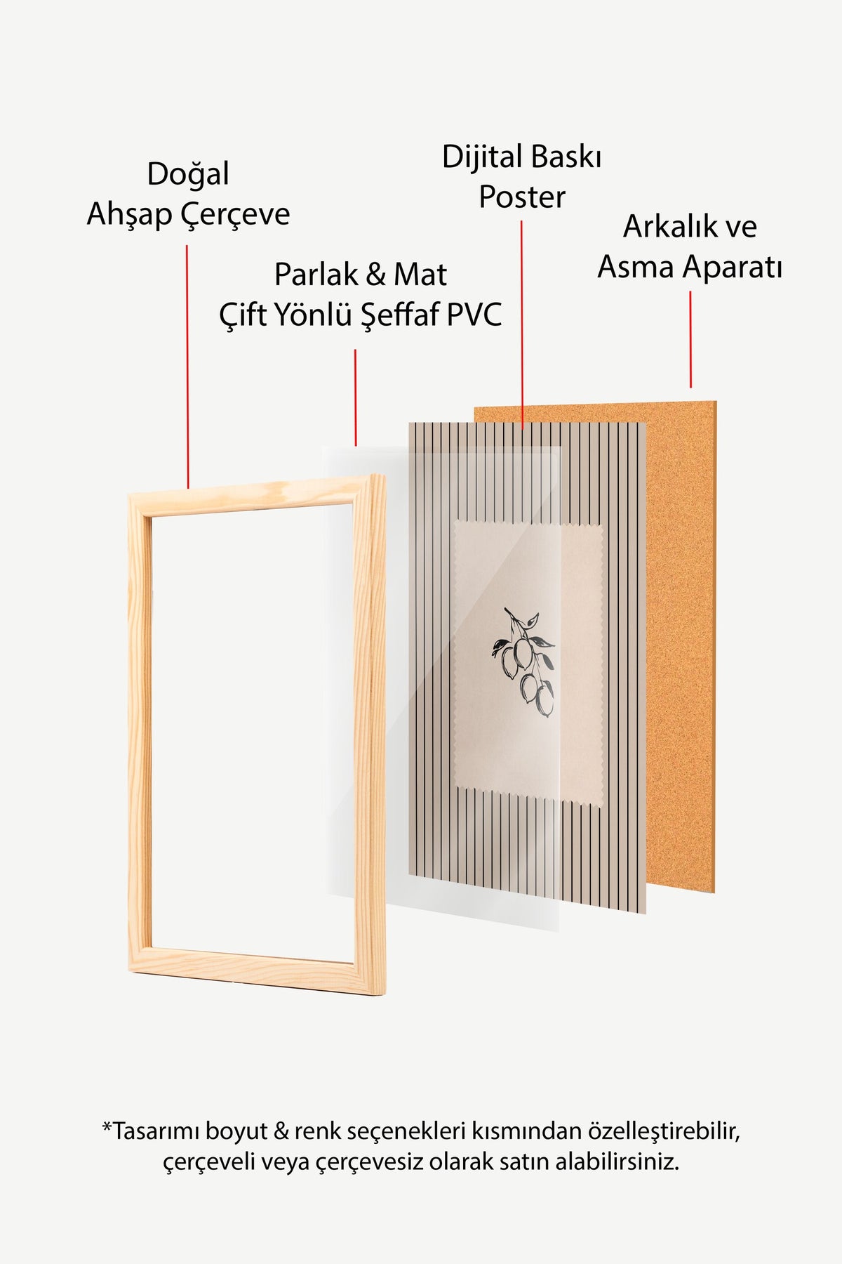Minimalist Meyve İllüstrasyonu Poster – Ahşap Çerçeveli Tablo