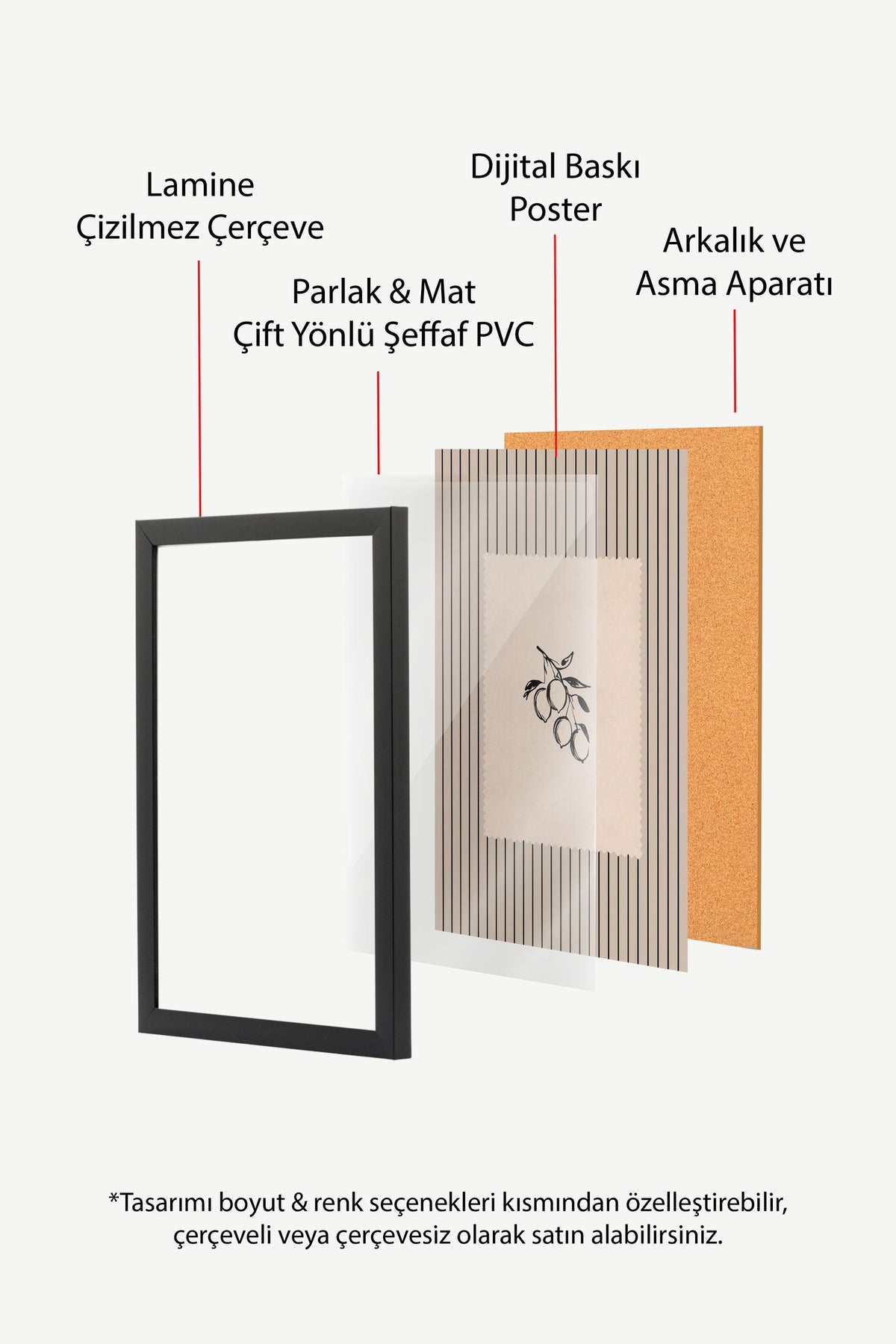 Minimalist Meyve İllüstrasyonu Poster – Siyah Çerçeveli Tablo