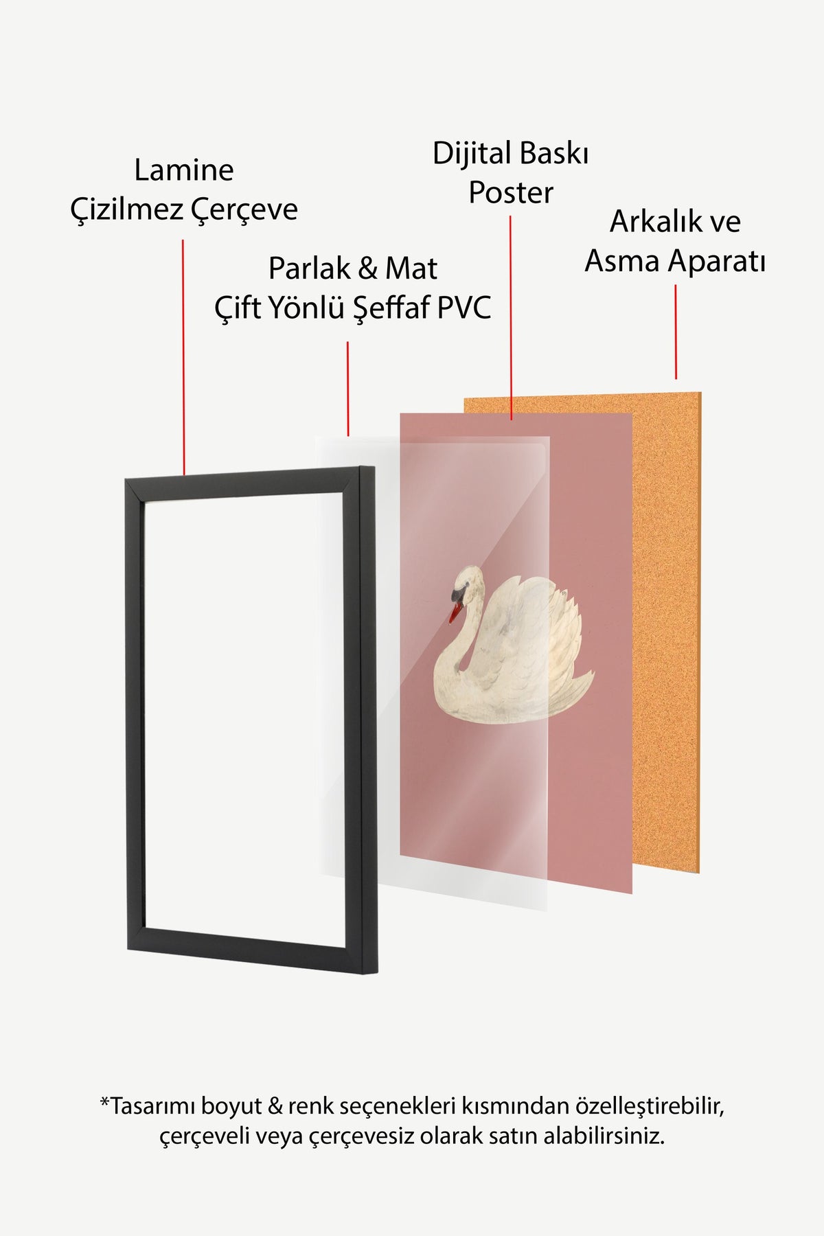 Zarif Kuğu İllüstrasyonu Poster – Siyah Çerçeveli Tablo