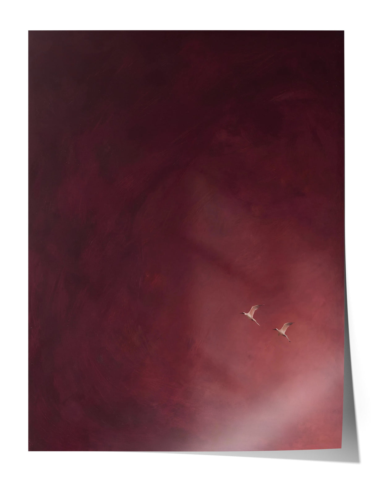 Kızıl Gökyüzünde Uçan Kuşlar Çerçevesiz Poster