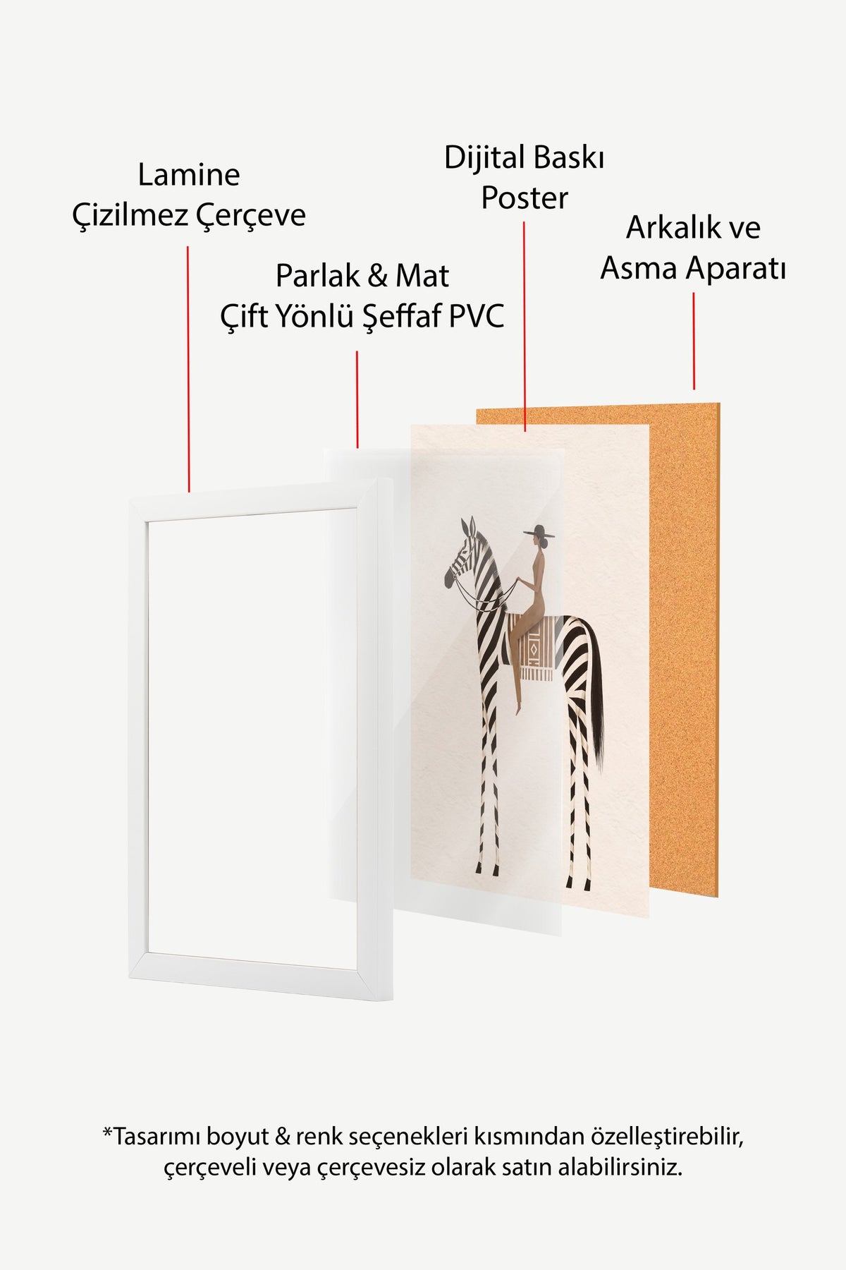 Zebra Üzerinde Oturan Kadın Poster – Beyaz Çerçeveli Tablo