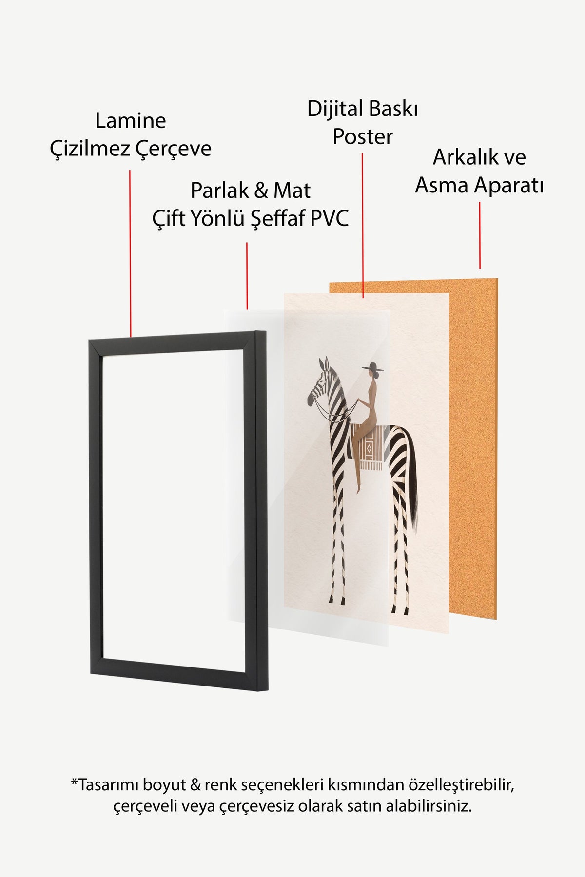 Zebra Üzerinde Oturan Kadın Poster – Siyah Çerçeveli Tablo