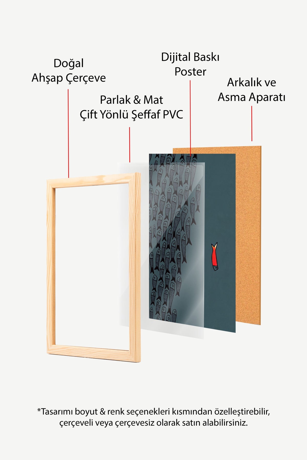 Farklı Renkli Balık İllüstrasyonu Poster – Ahşap Çerçeveli Tablo