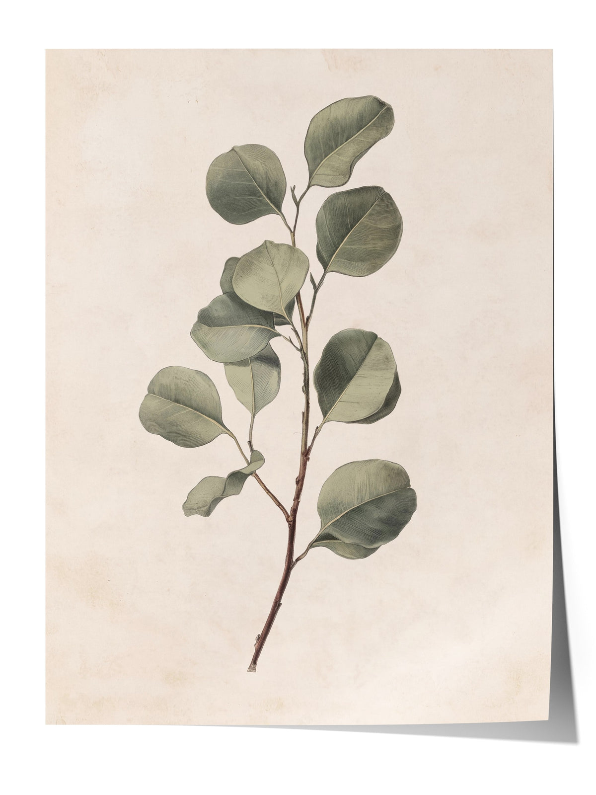 Minimalist Yaprak İllüstrasyonu Çerçevesiz Poster