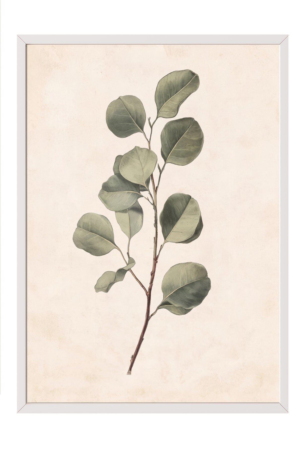 Minimalist Yaprak İllüstrasyonu Poster – Beyaz Çerçeveli Tablo