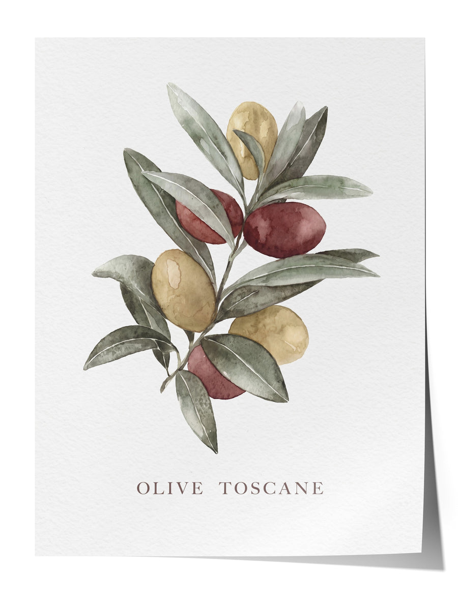 Olive Toscane Çerçevesiz Poster