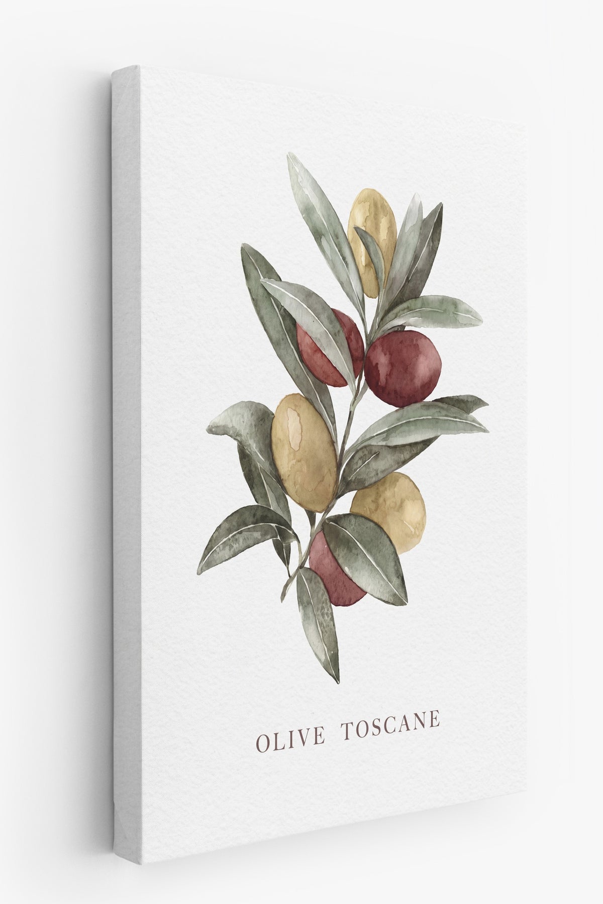 Olive Toscane Kanvas Tablo