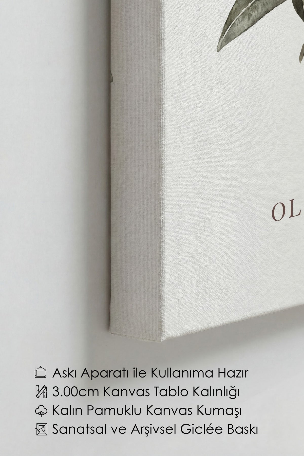 Olive Toscane Kanvas Tablo