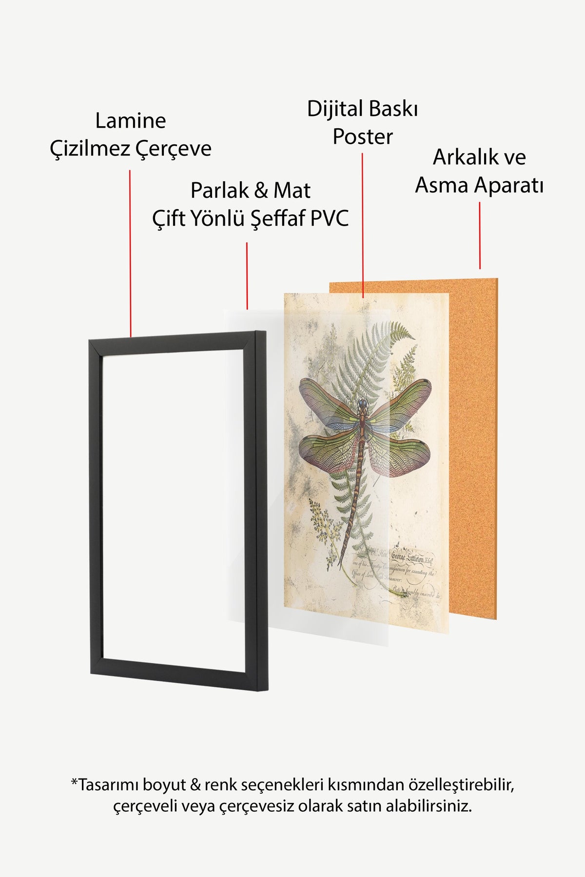 Ejderha Sineği ve Eğrelti Otu İllüstrasyonu Poster – Siyah Çerçeveli Tablo