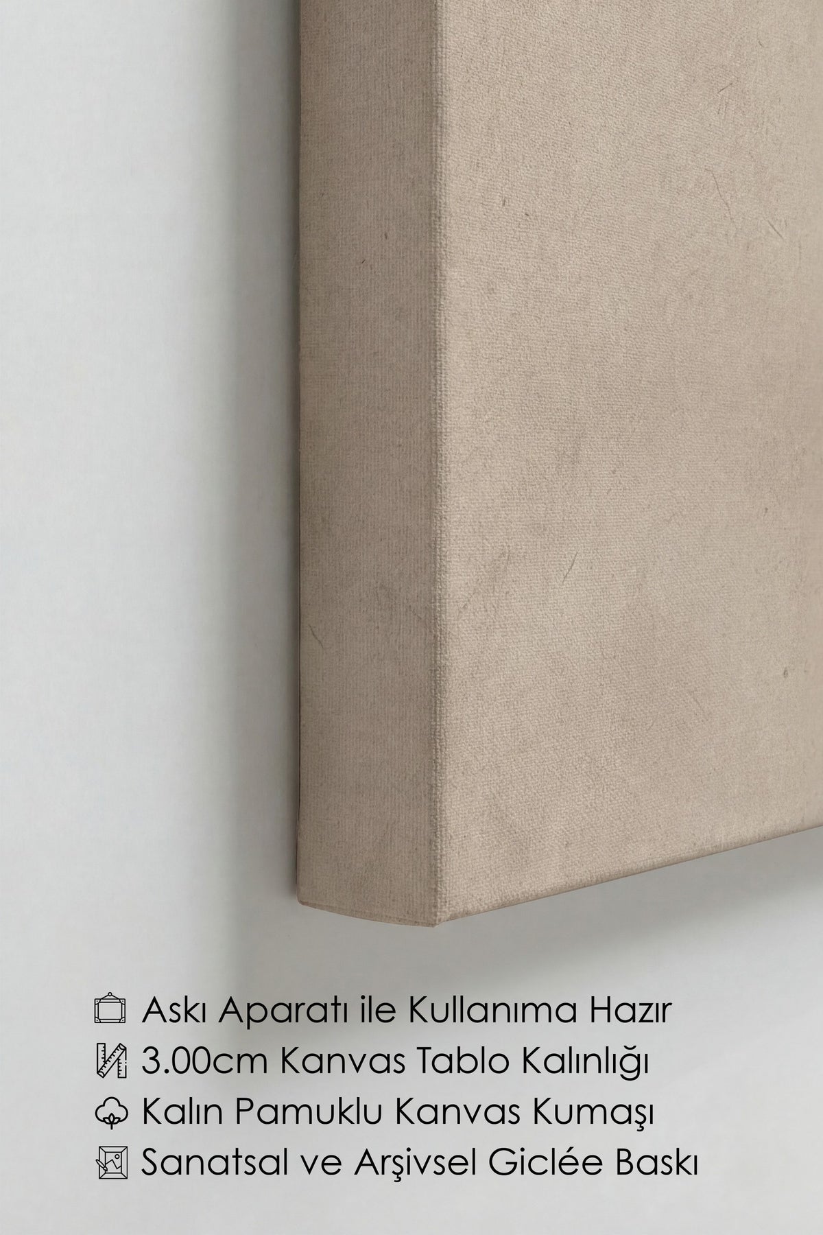 Soyut Şekillerle Minimalist Tasarım Kanvas Tablo