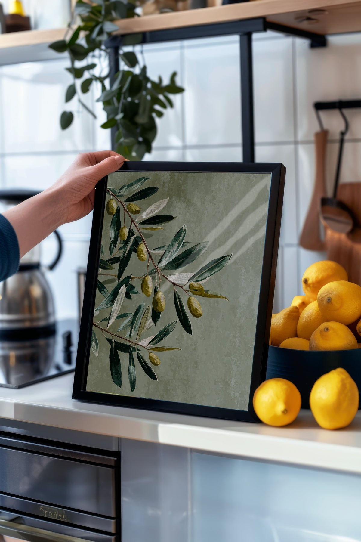 Zeytin Dalı İllüstrasyonu Poster – Siyah Çerçeveli Tablo