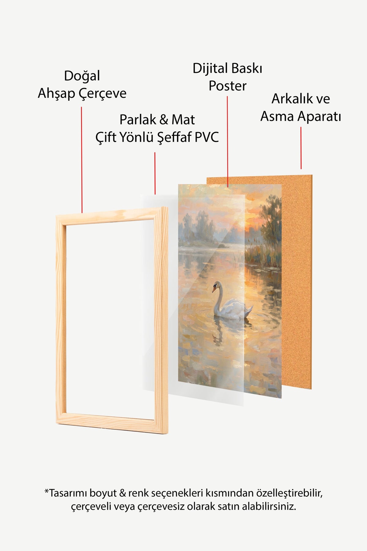 Gölde Yüzen Kuğu Poster – Ahşap Çerçeveli Tablo