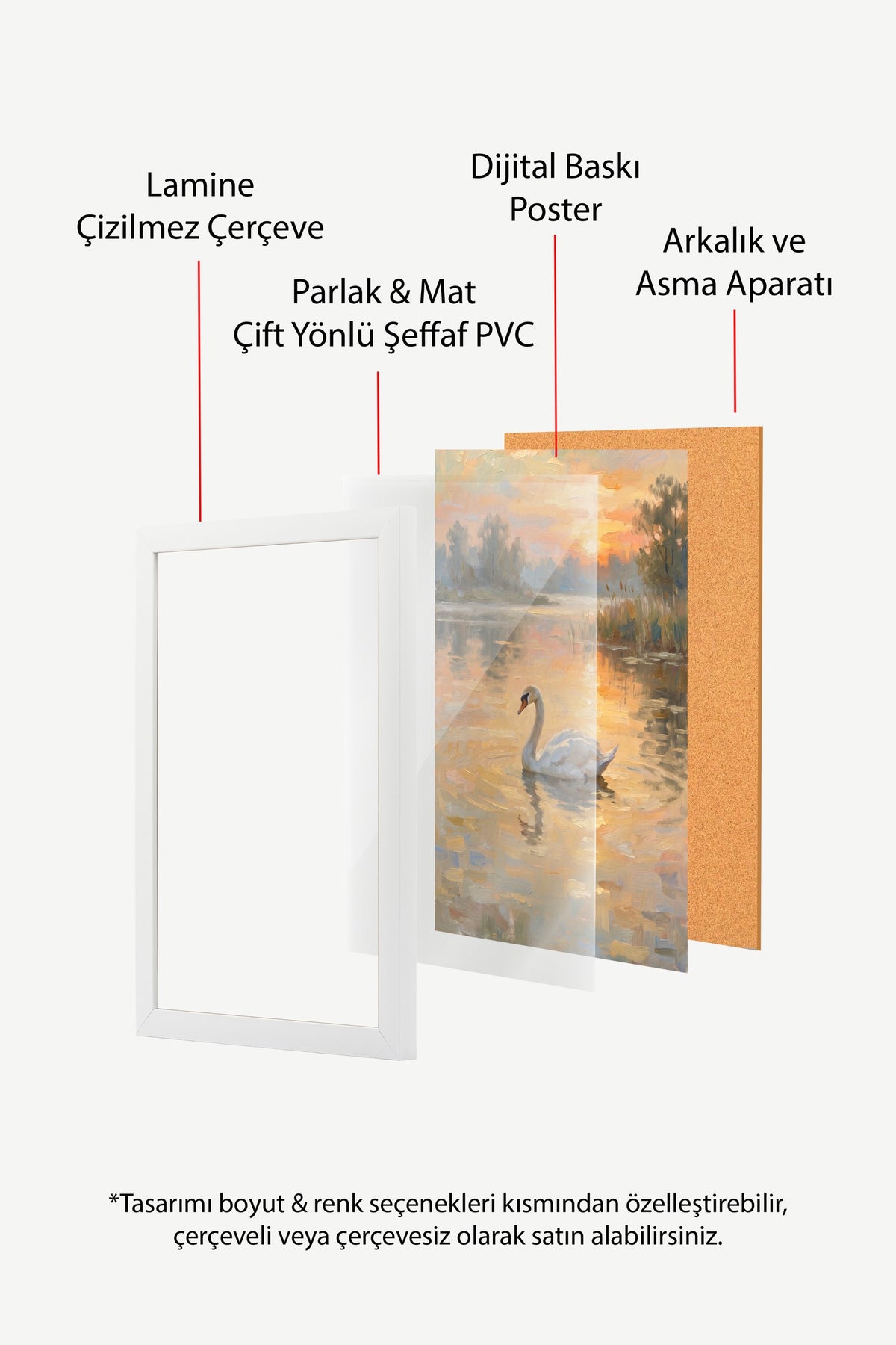 Gölde Yüzen Kuğu Poster – Beyaz Çerçeveli Tablo