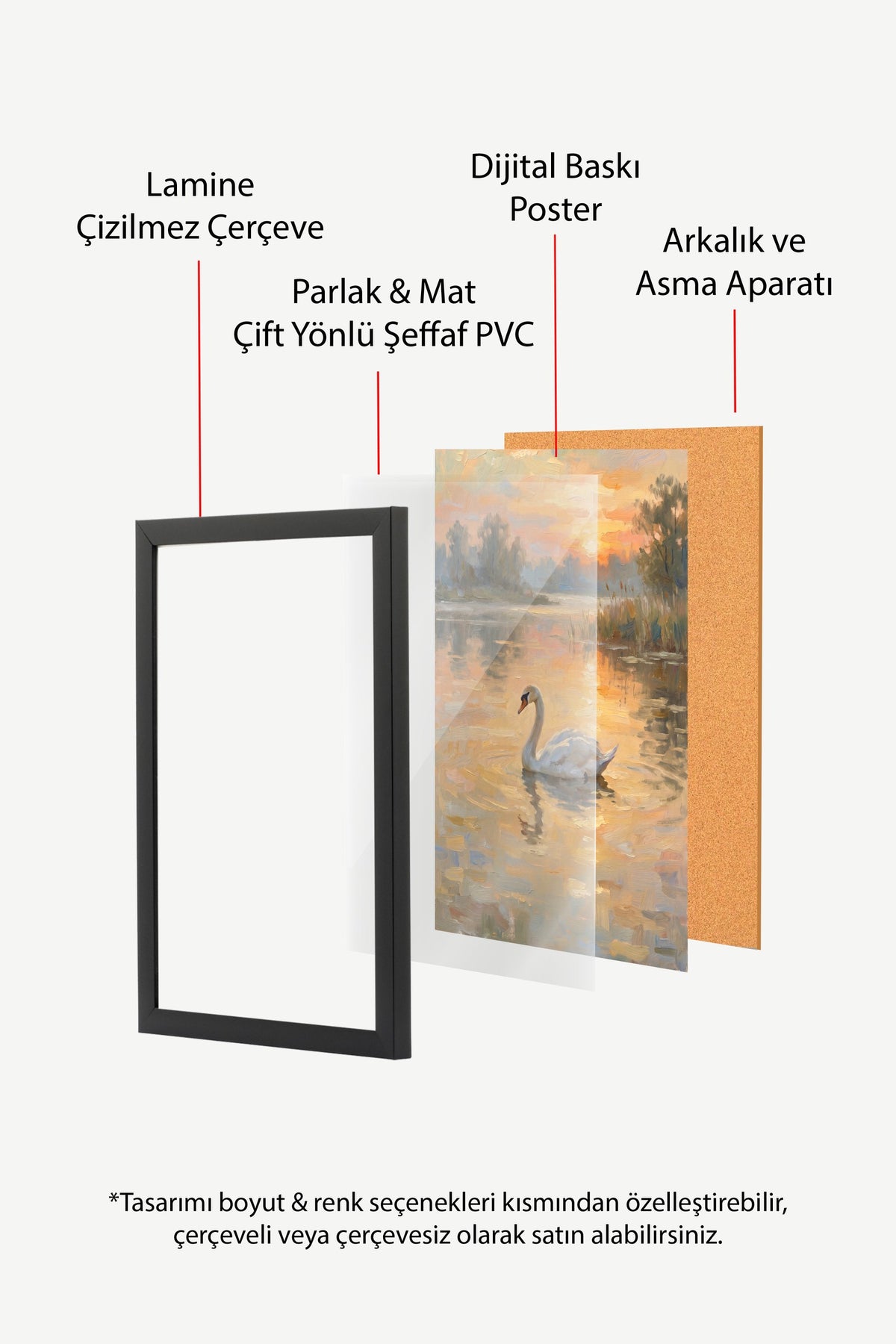 Gölde Yüzen Kuğu Poster – Siyah Çerçeveli Tablo
