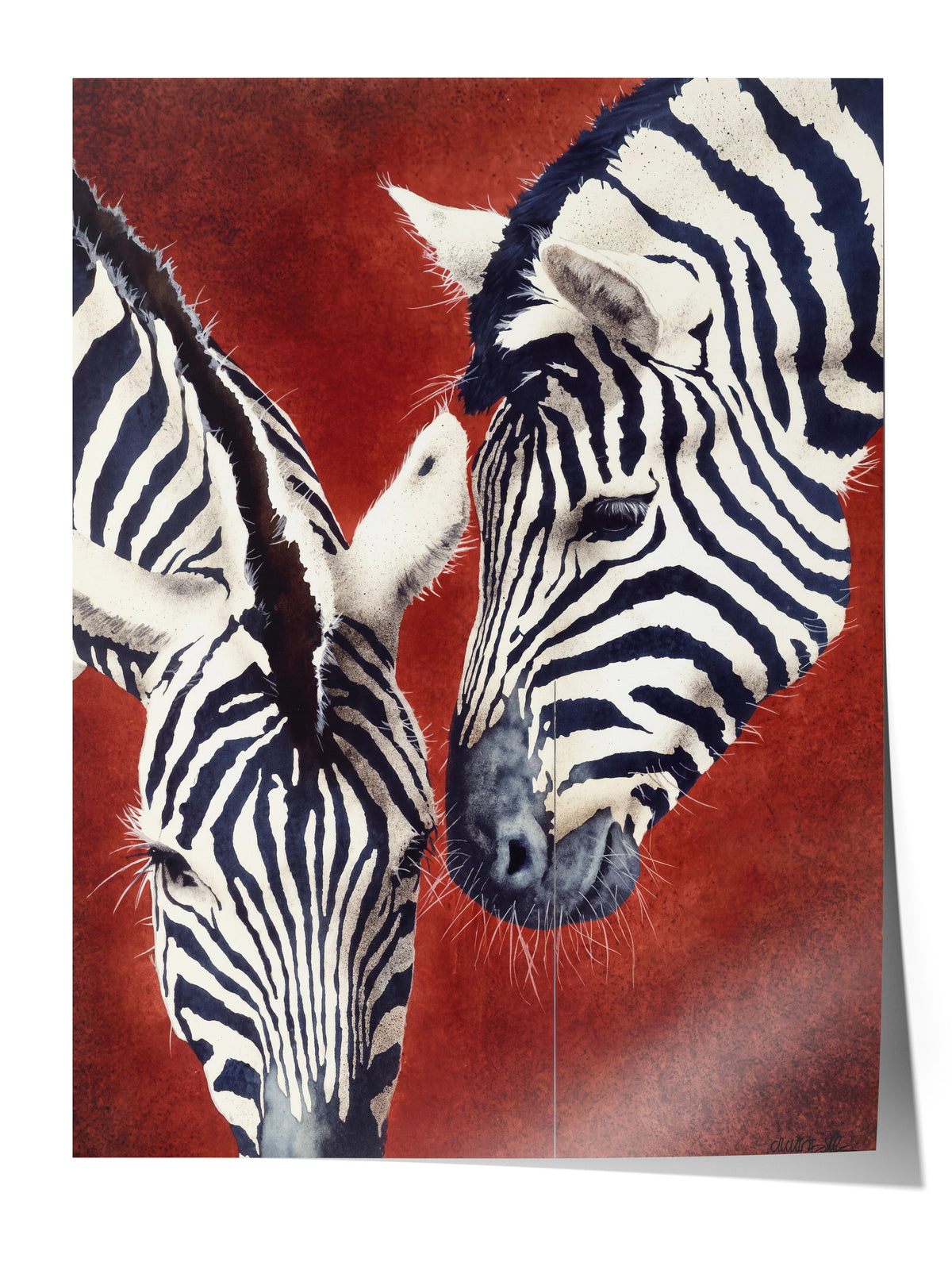Etkileşim Halinde İki Zebra Çerçevesiz Poster