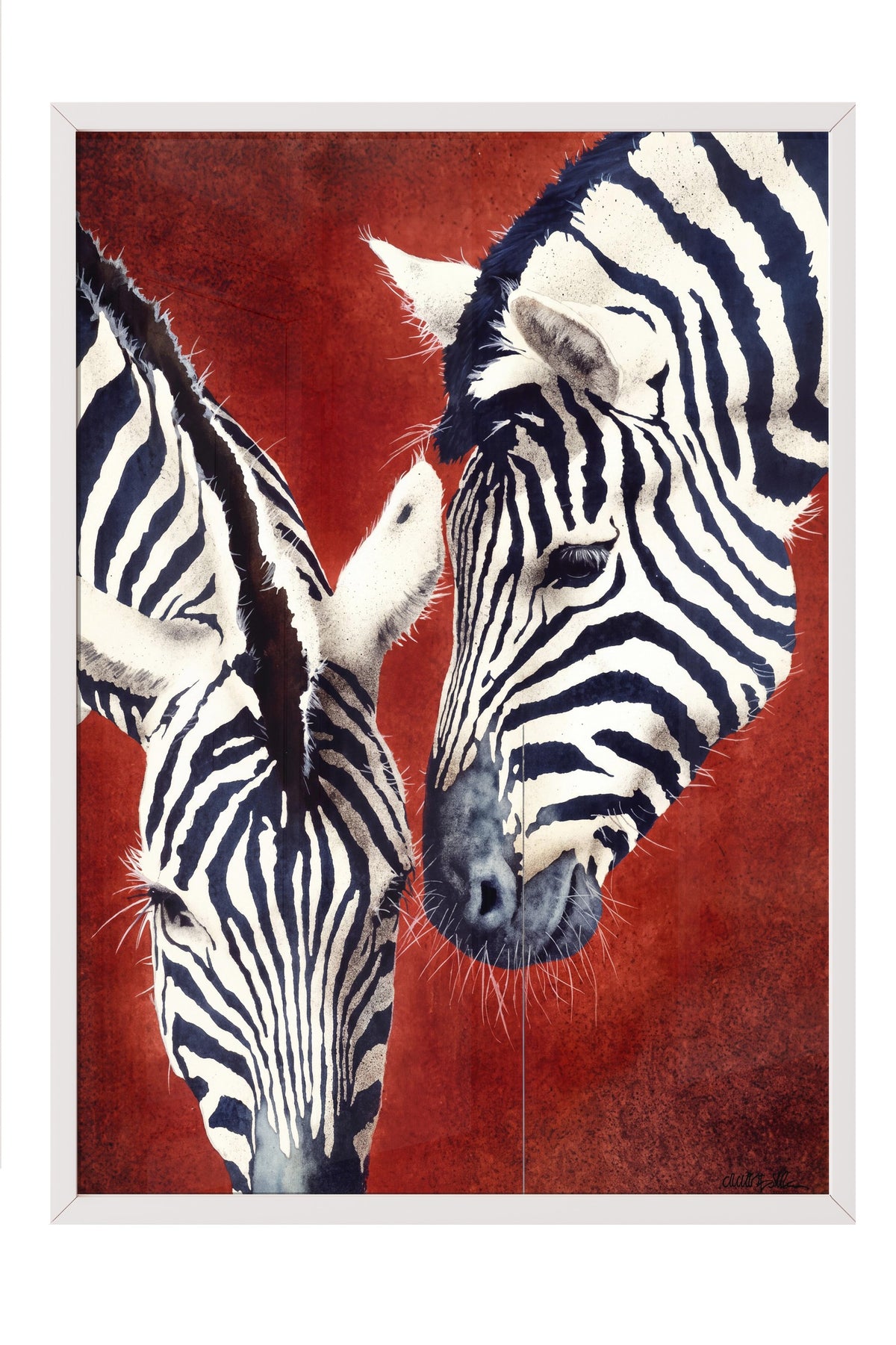 Etkileşim Halinde İki Zebra Poster – Beyaz Çerçeveli Tablo