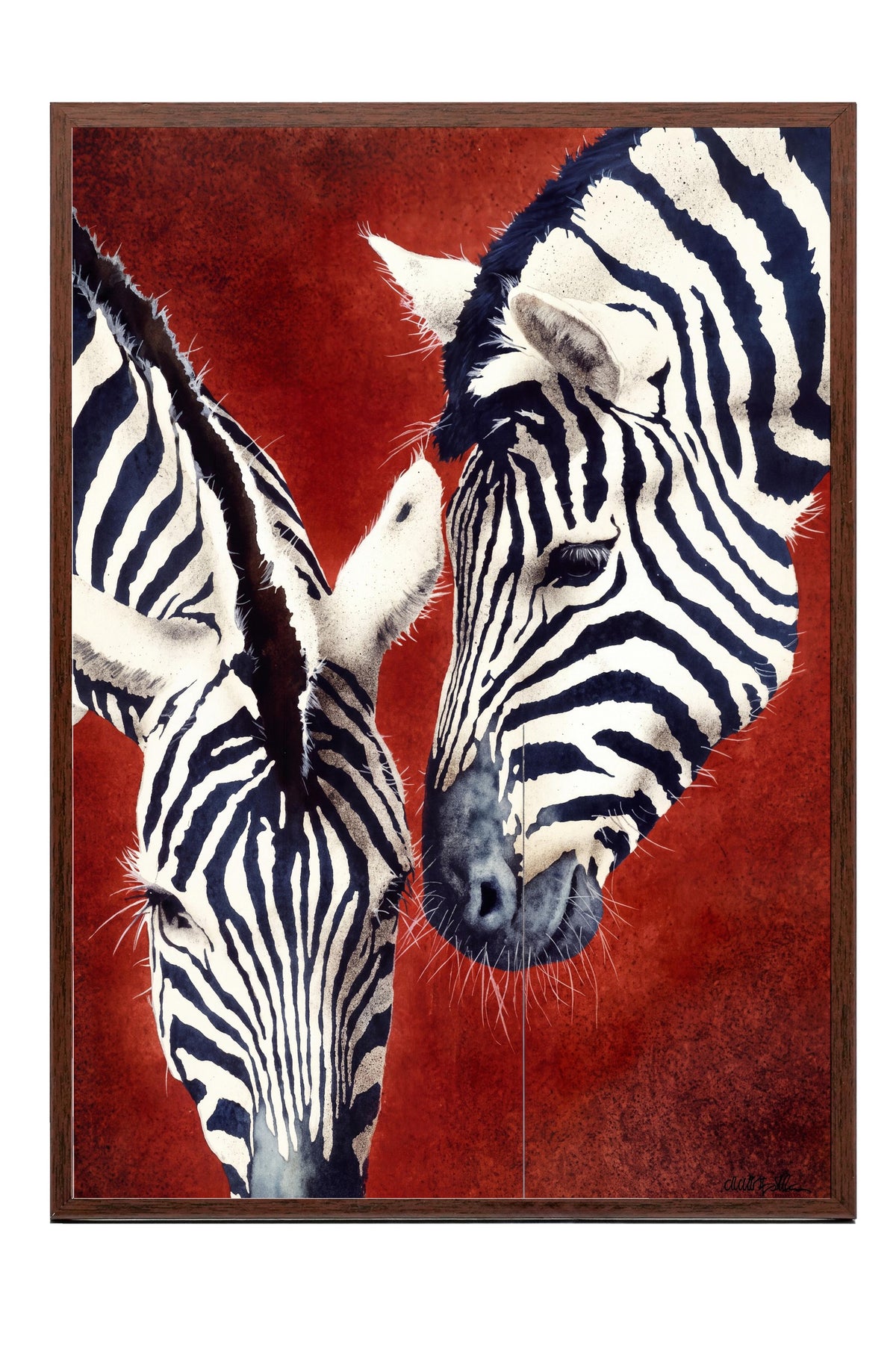 Etkileşim Halinde İki Zebra Poster – Kahverengi Çerçeveli Tablo
