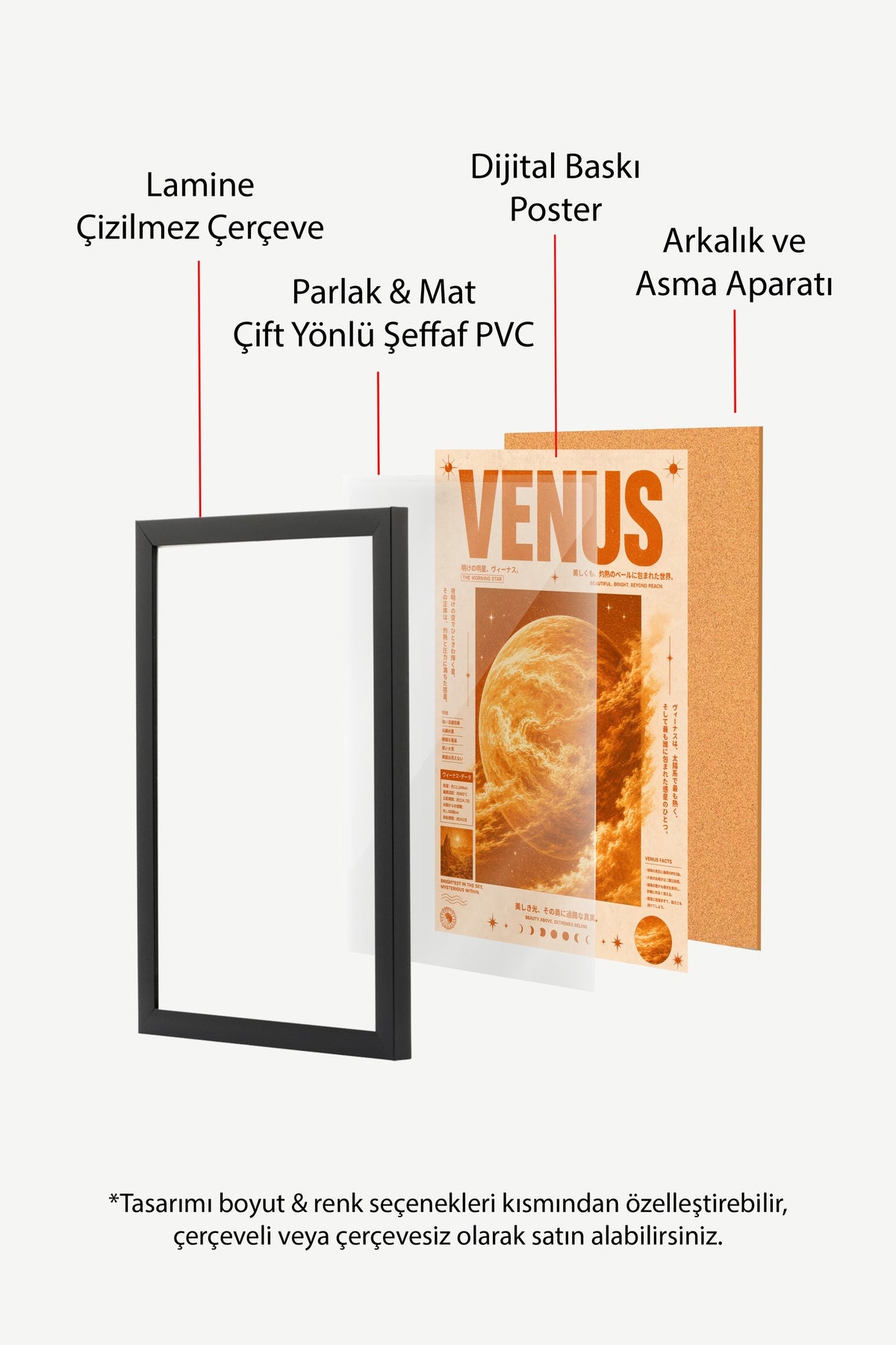 VENUS Poster – Siyah Çerçeveli Tablo