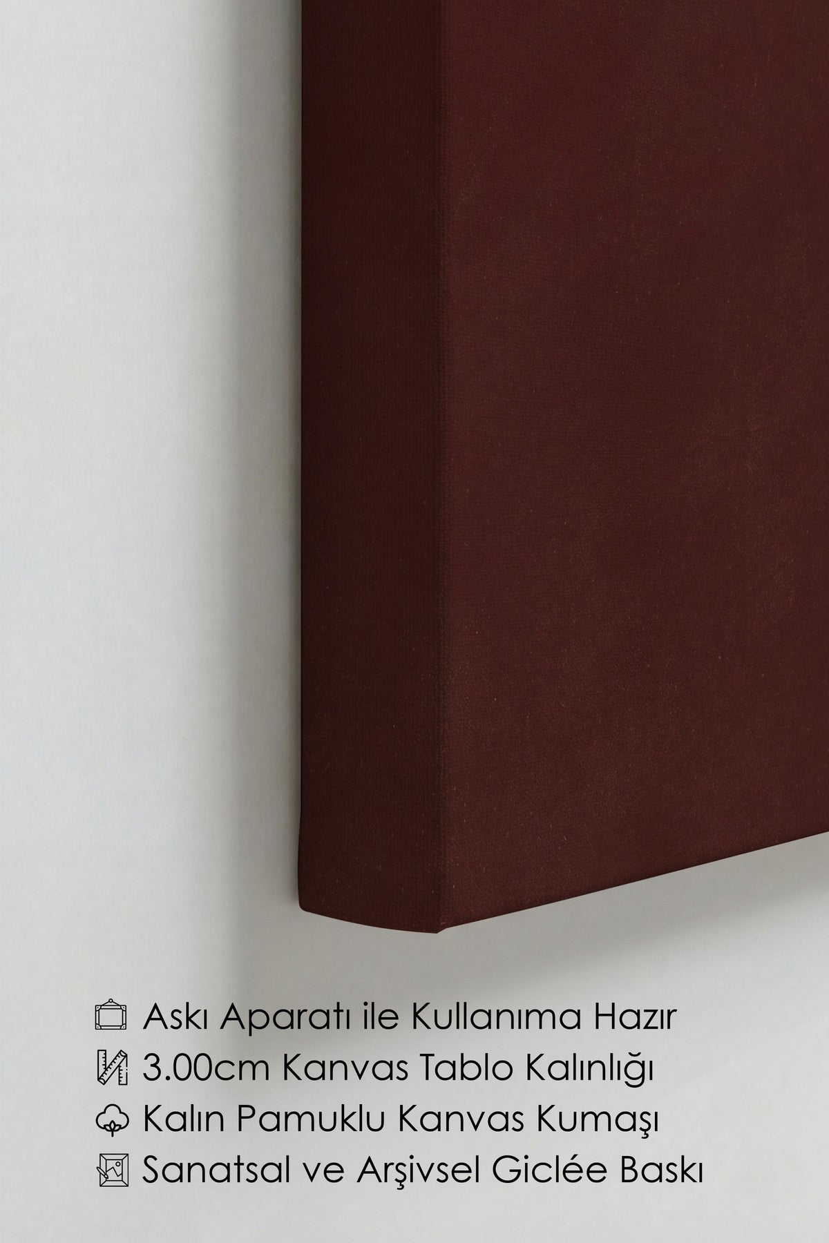 Koyu Fon Üzerinde Çiçekler Kanvas Tablo