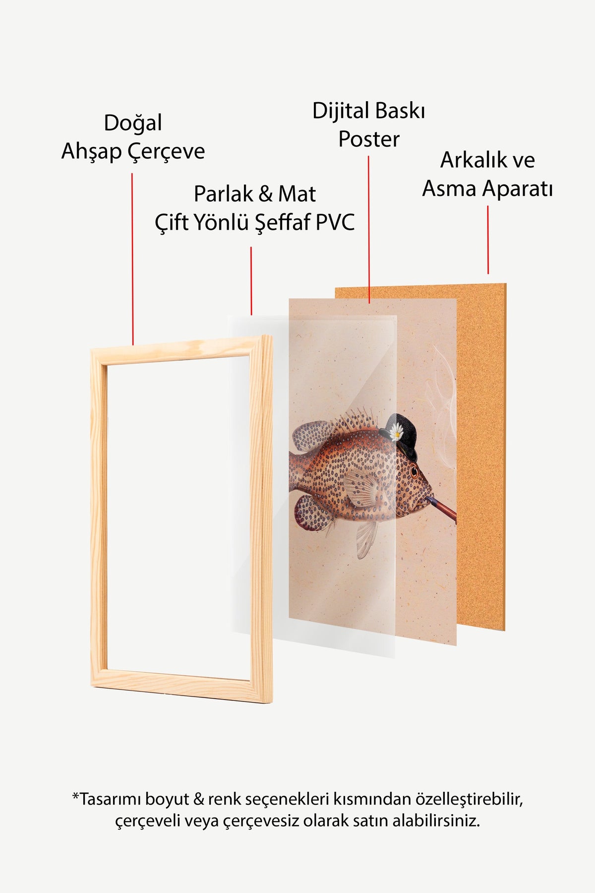 Şapkalı Balık ve Papatya Poster – Ahşap Çerçeveli Tablo